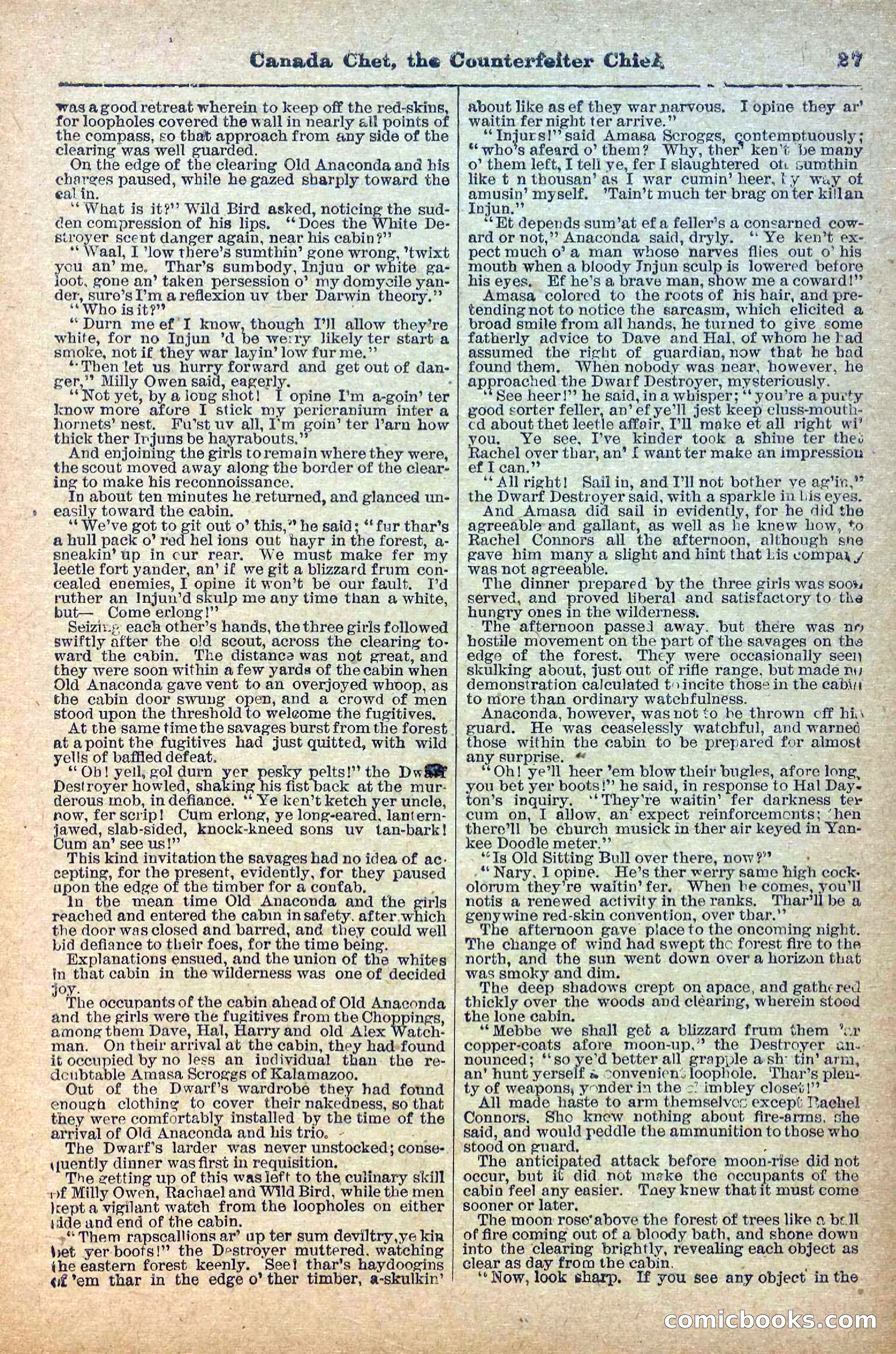 The Deadwood Dick Library, No. 22 — page 29 of 40
