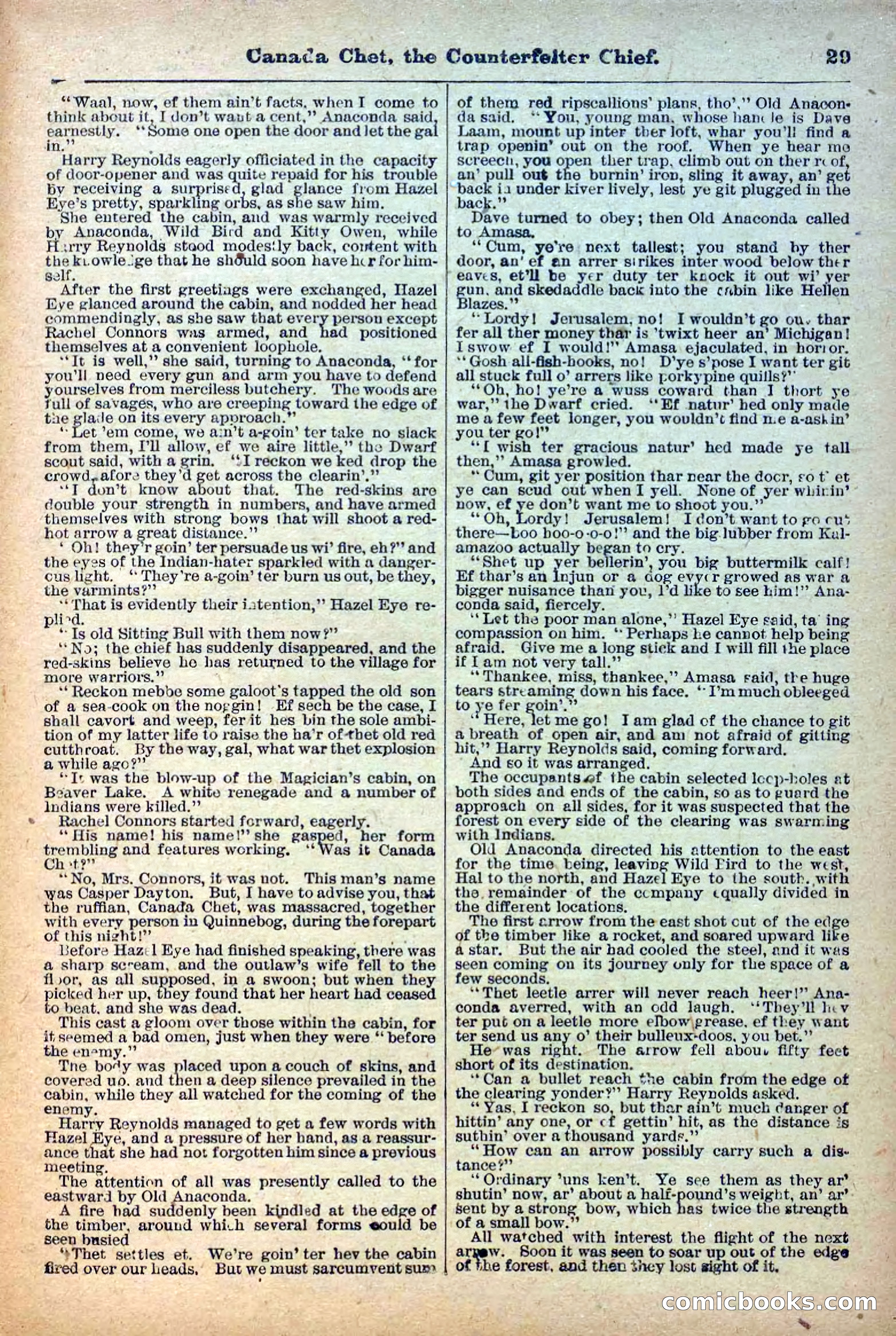 The Deadwood Dick Library, No. 22 — page 31 of 40