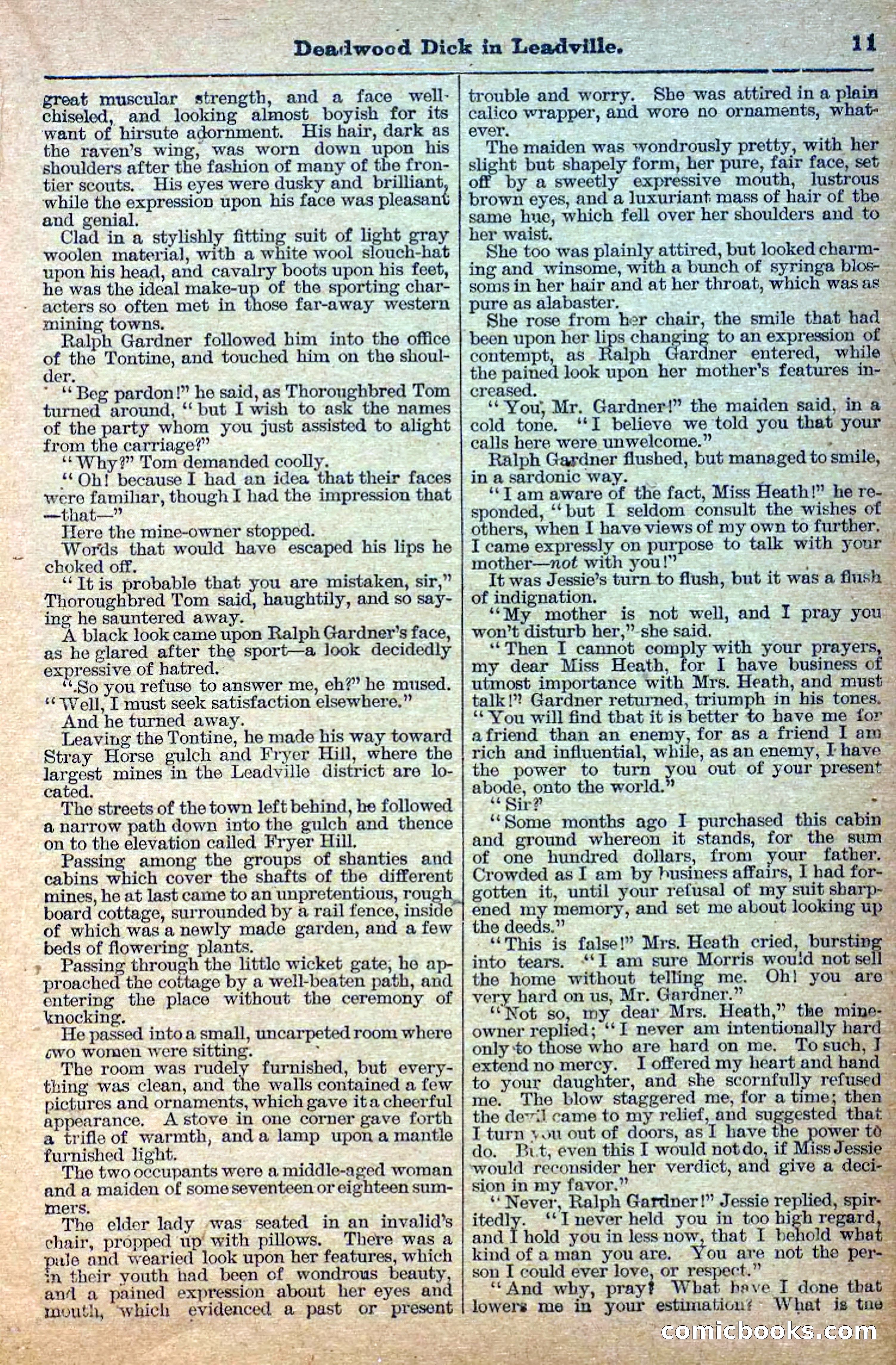 Deadwood Dick Library, Vol. II, No. 23 — page 13 of 38