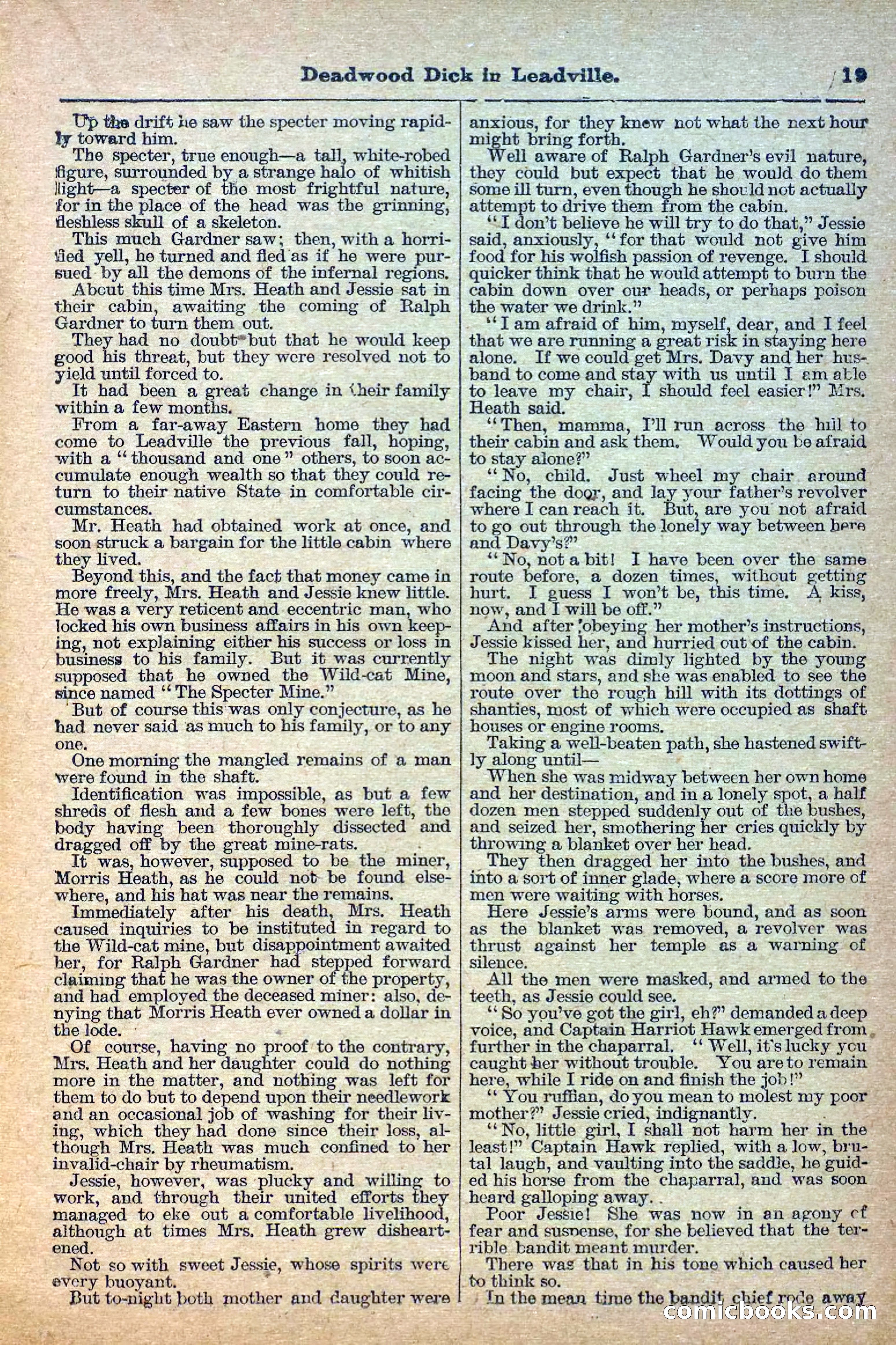 Deadwood Dick Library, Vol. II, No. 23 — page 21 of 38