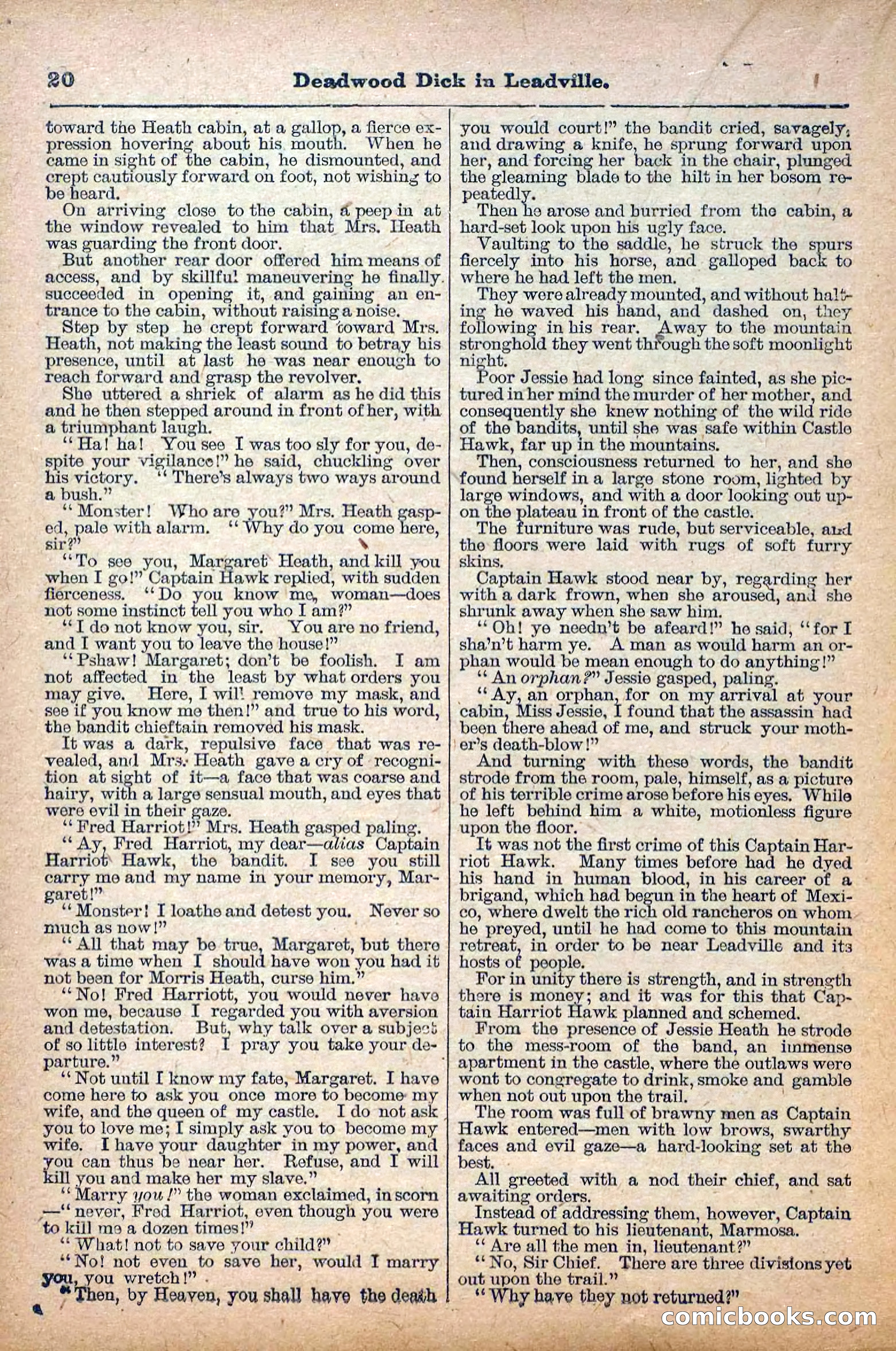 Deadwood Dick Library, Vol. II, No. 23 — page 22 of 38