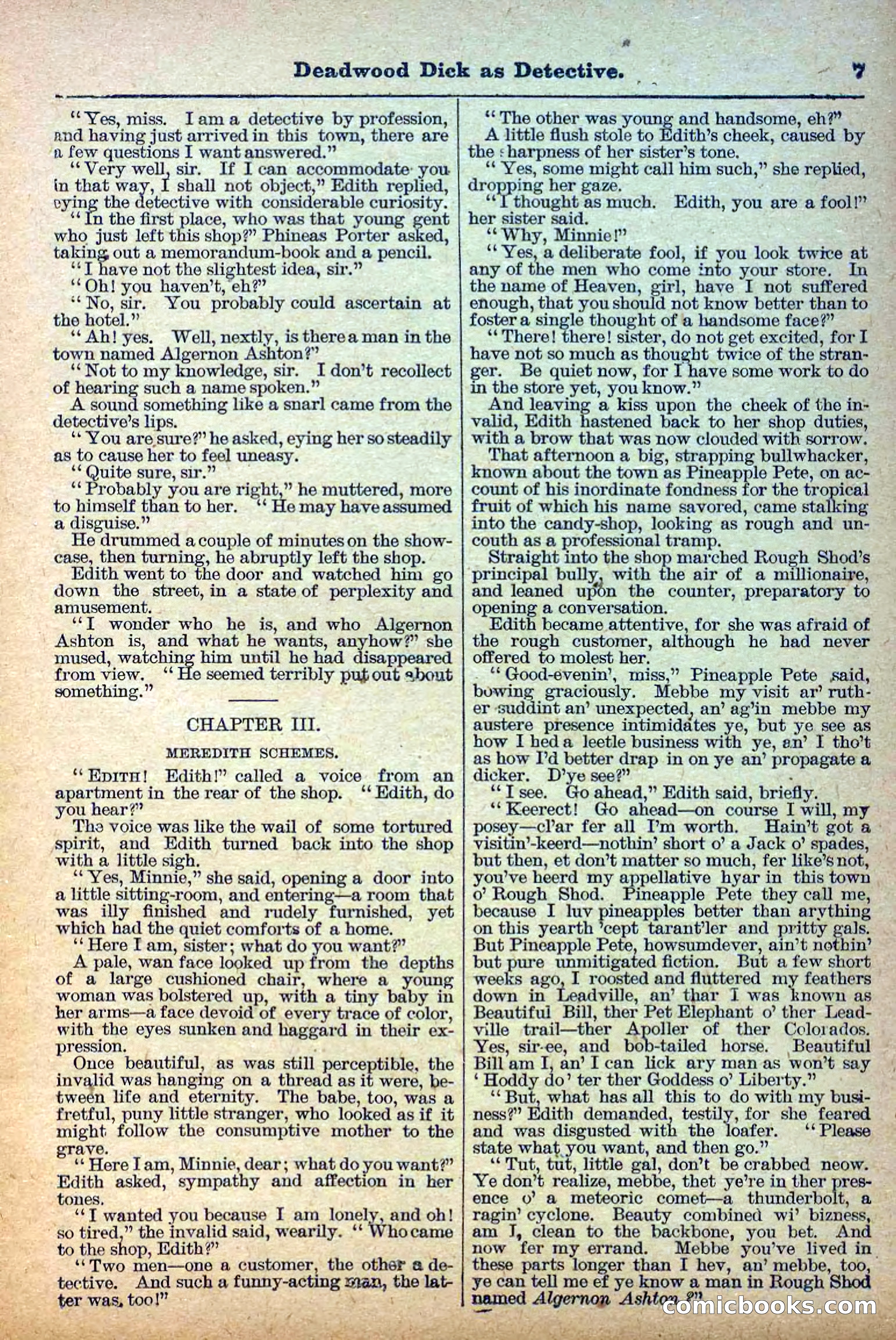 The Deadwood Dick Library, Vol. II, No. 24 — page 9 of 38