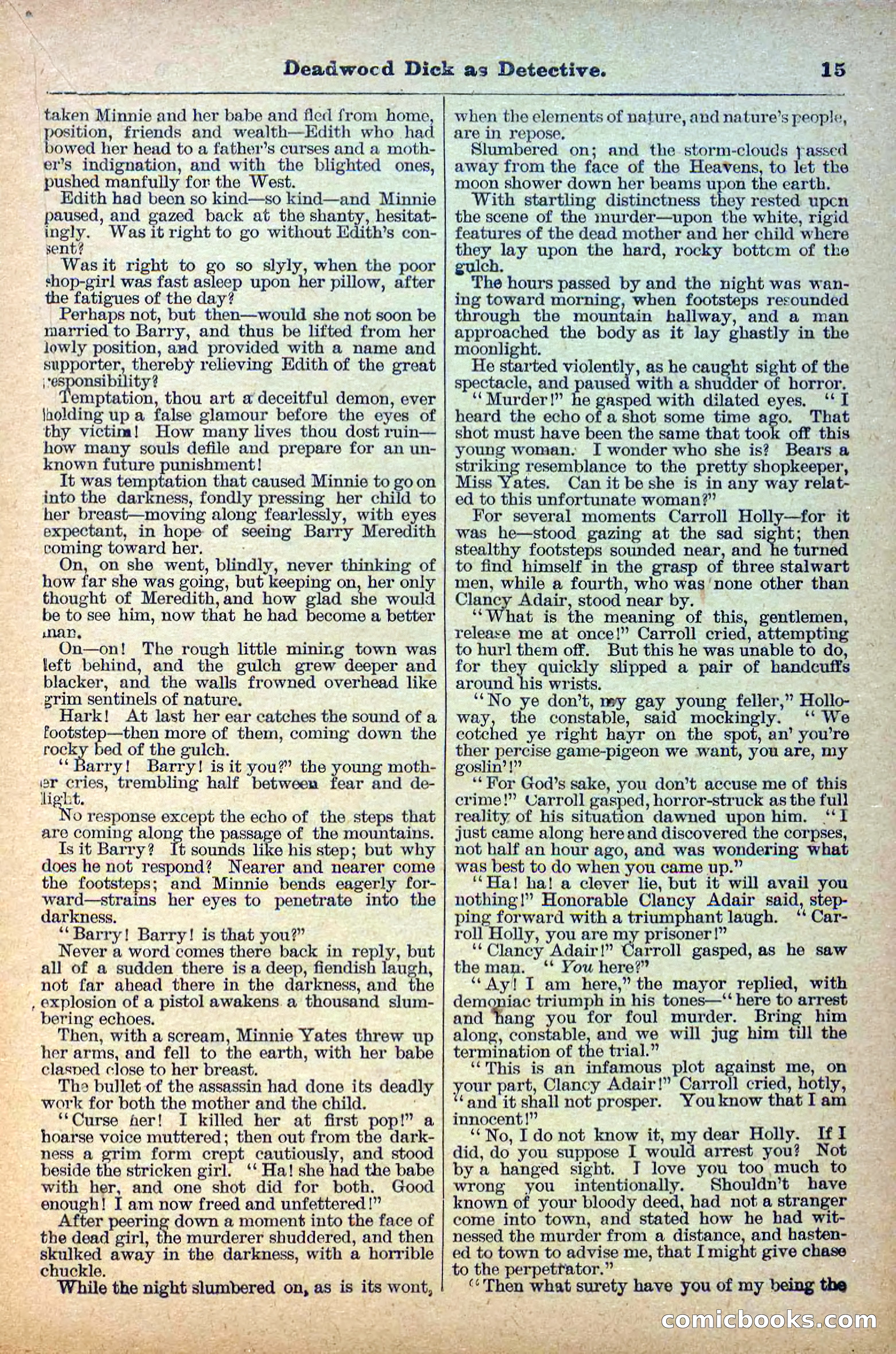 The Deadwood Dick Library, Vol. II, No. 24 — page 17 of 38