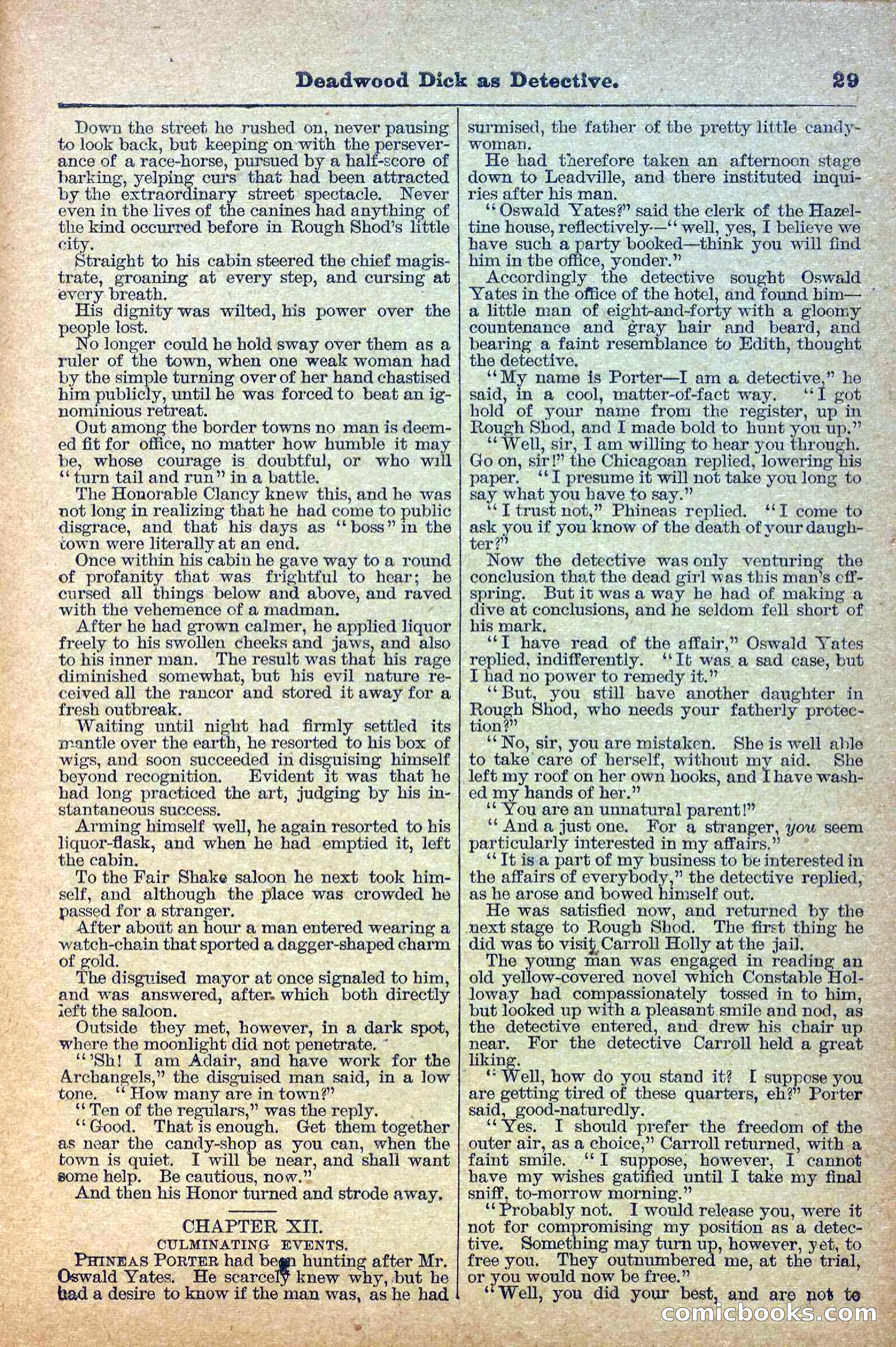 The Deadwood Dick Library, Vol. II, No. 24 — page 31 of 38