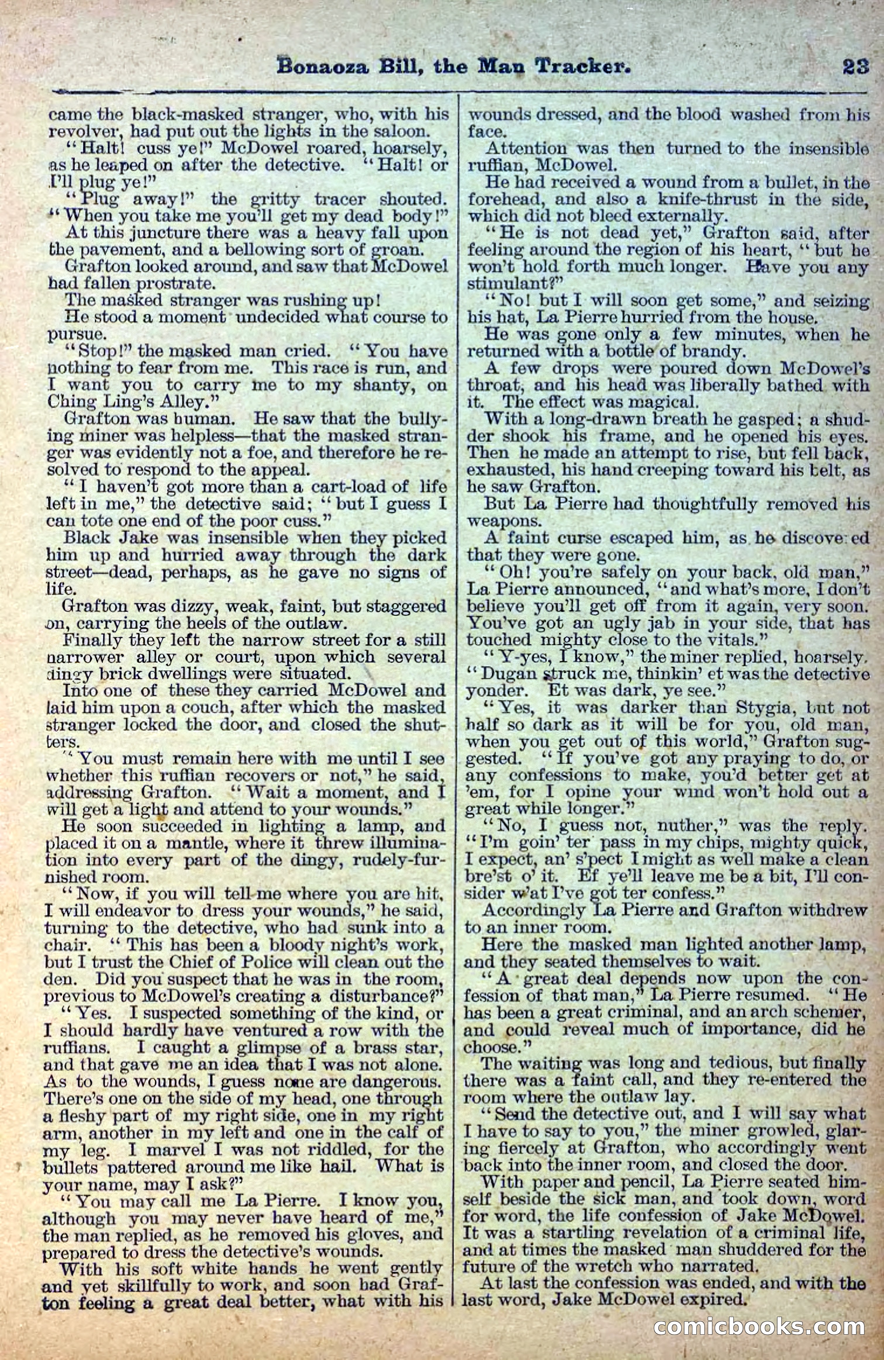 Deadwood Dick Library, Vol. II, No. 26 — page 25 of 40