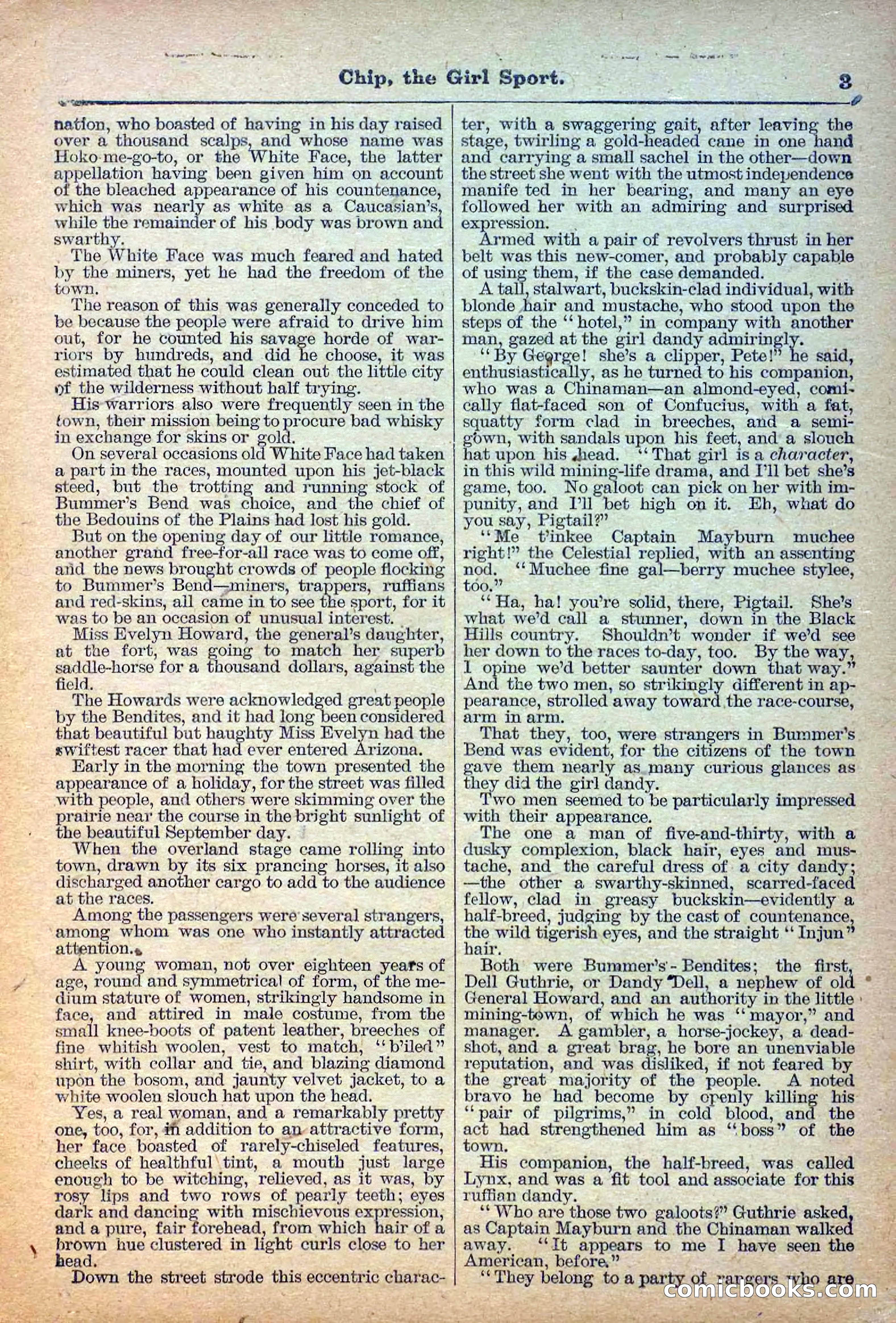 The Deadwood Dick Library, No. 27 — page 5 of 38