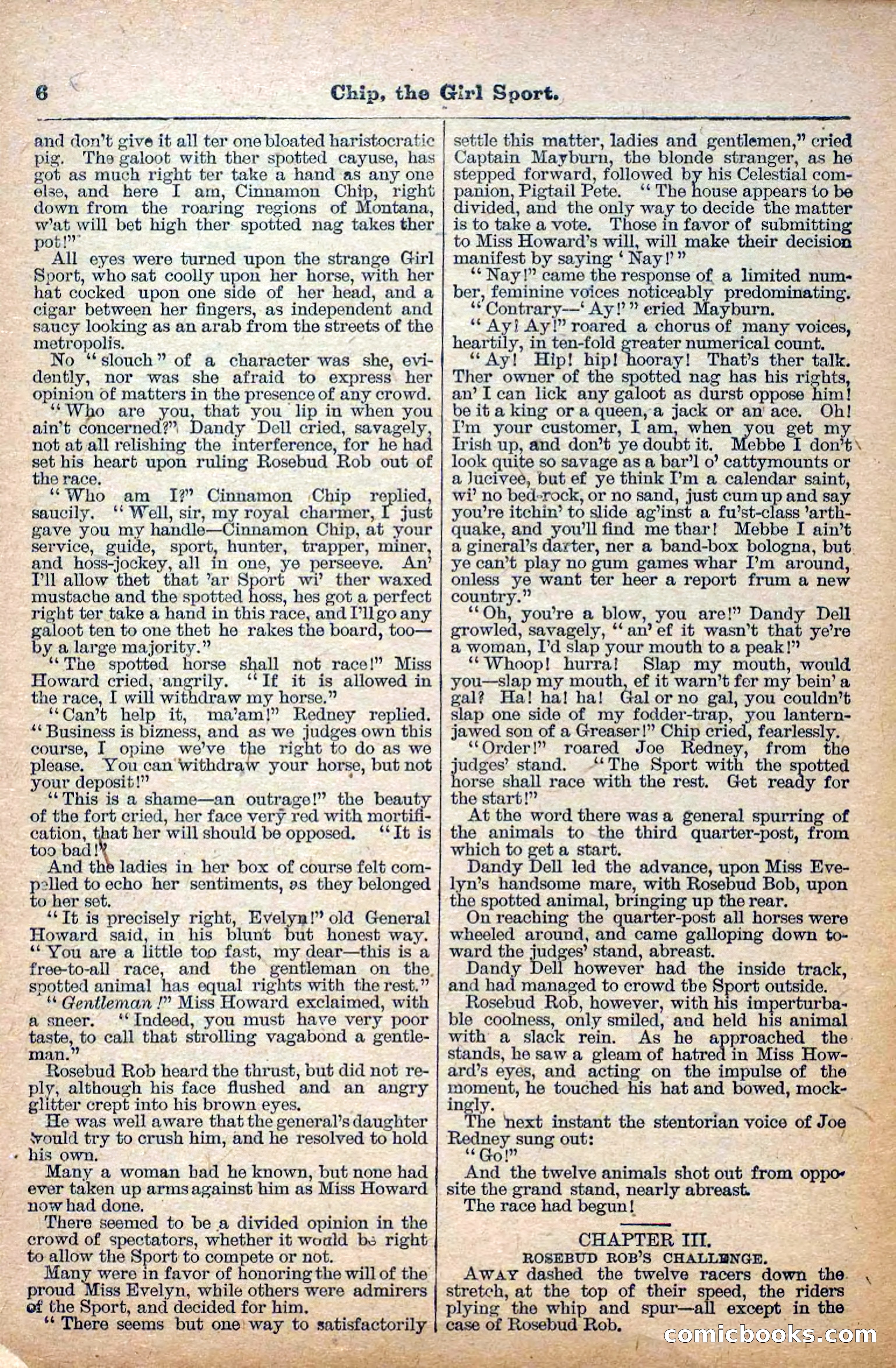 The Deadwood Dick Library, No. 27 — page 8 of 38