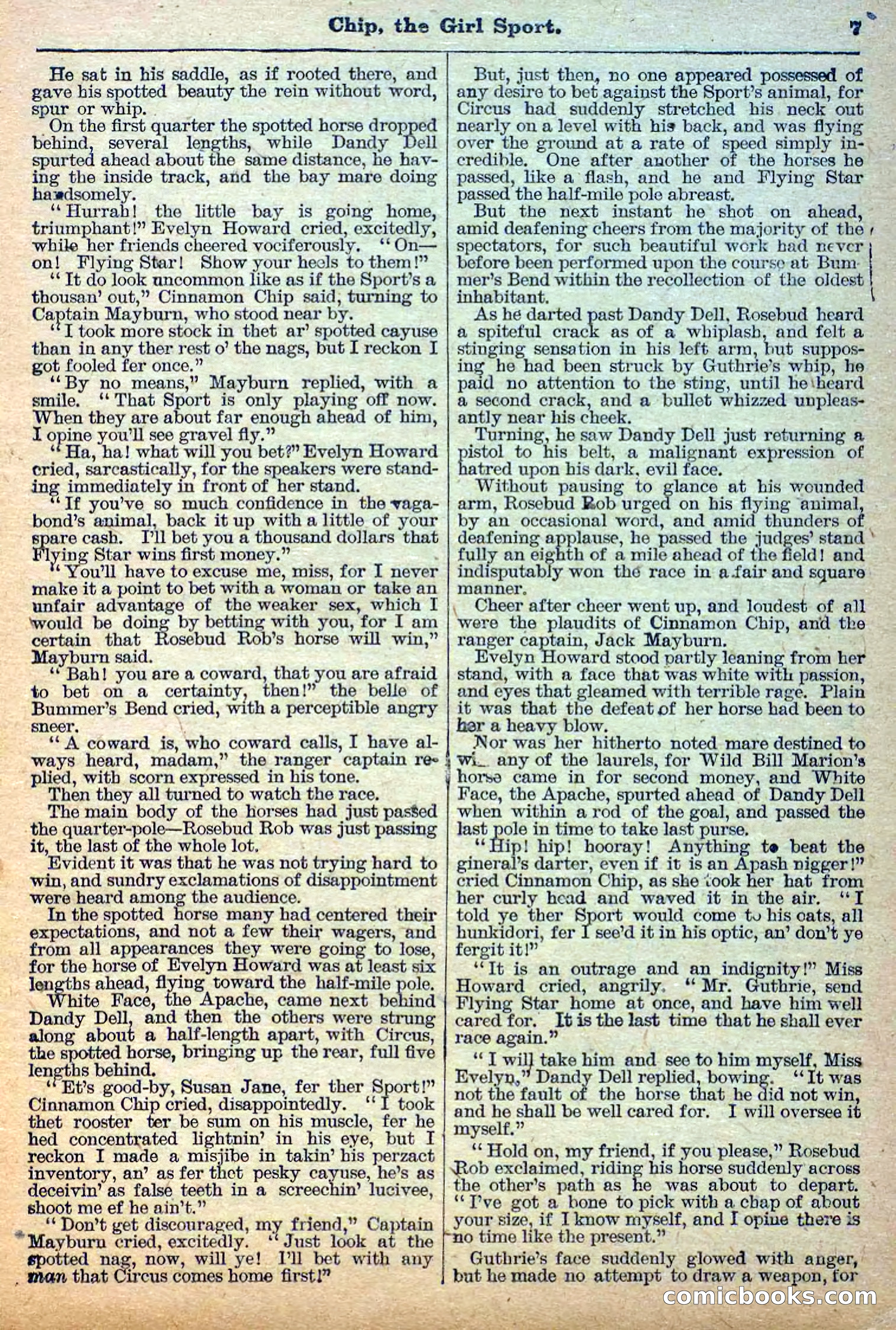 The Deadwood Dick Library, No. 27 — page 9 of 38