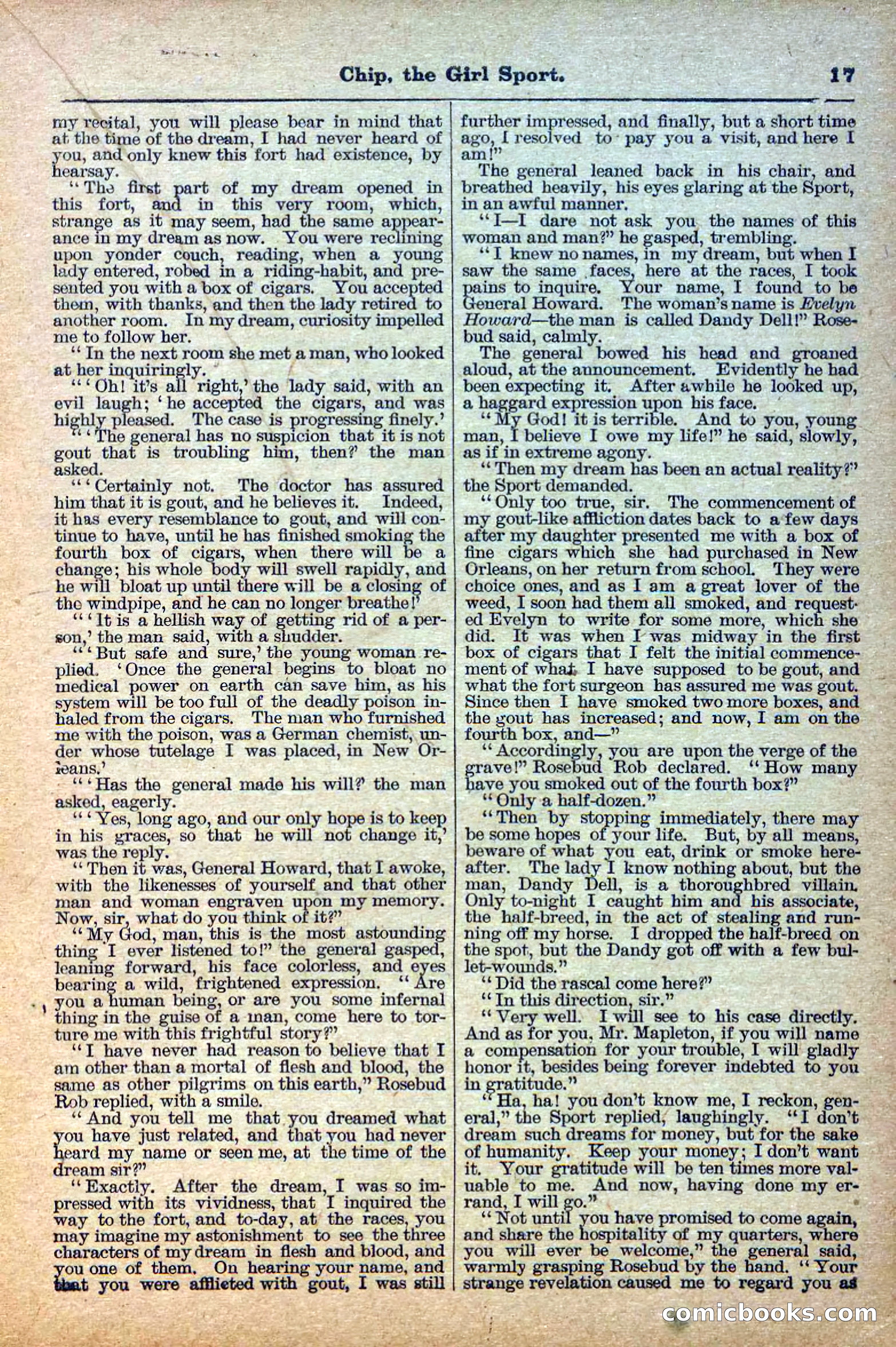 The Deadwood Dick Library, No. 27 — page 19 of 38