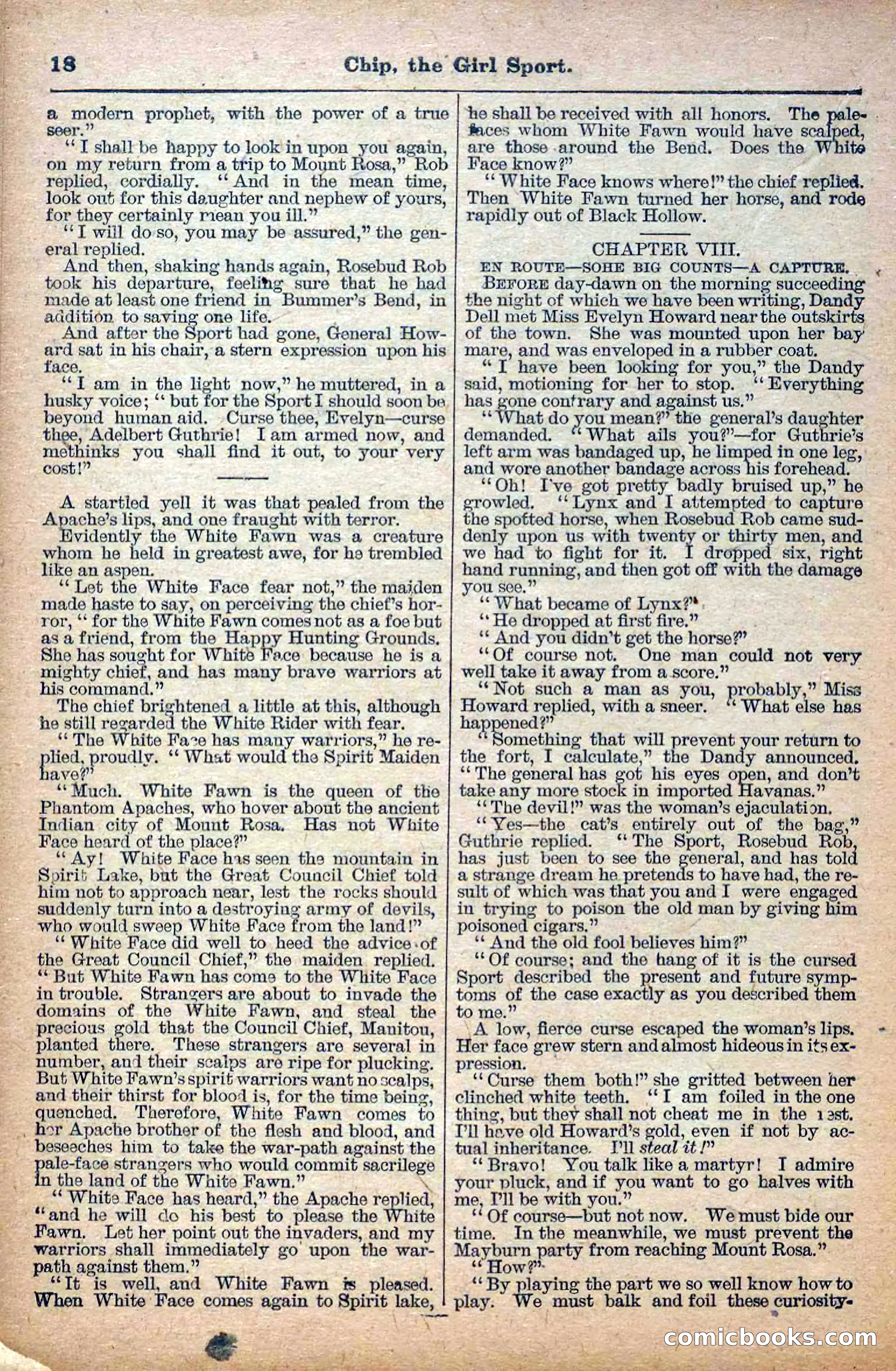 The Deadwood Dick Library, No. 27 — page 20 of 38