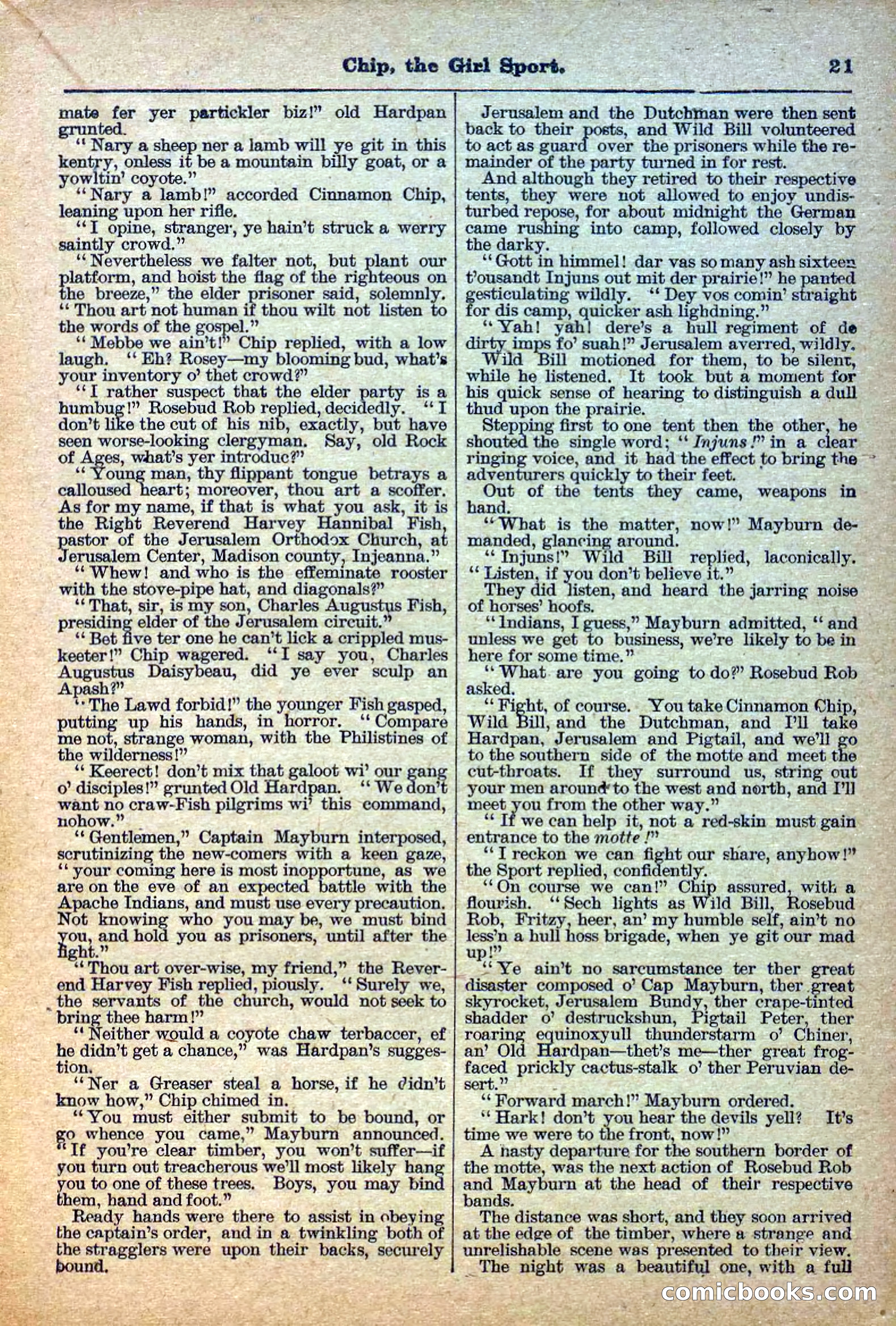The Deadwood Dick Library, No. 27 — page 23 of 38