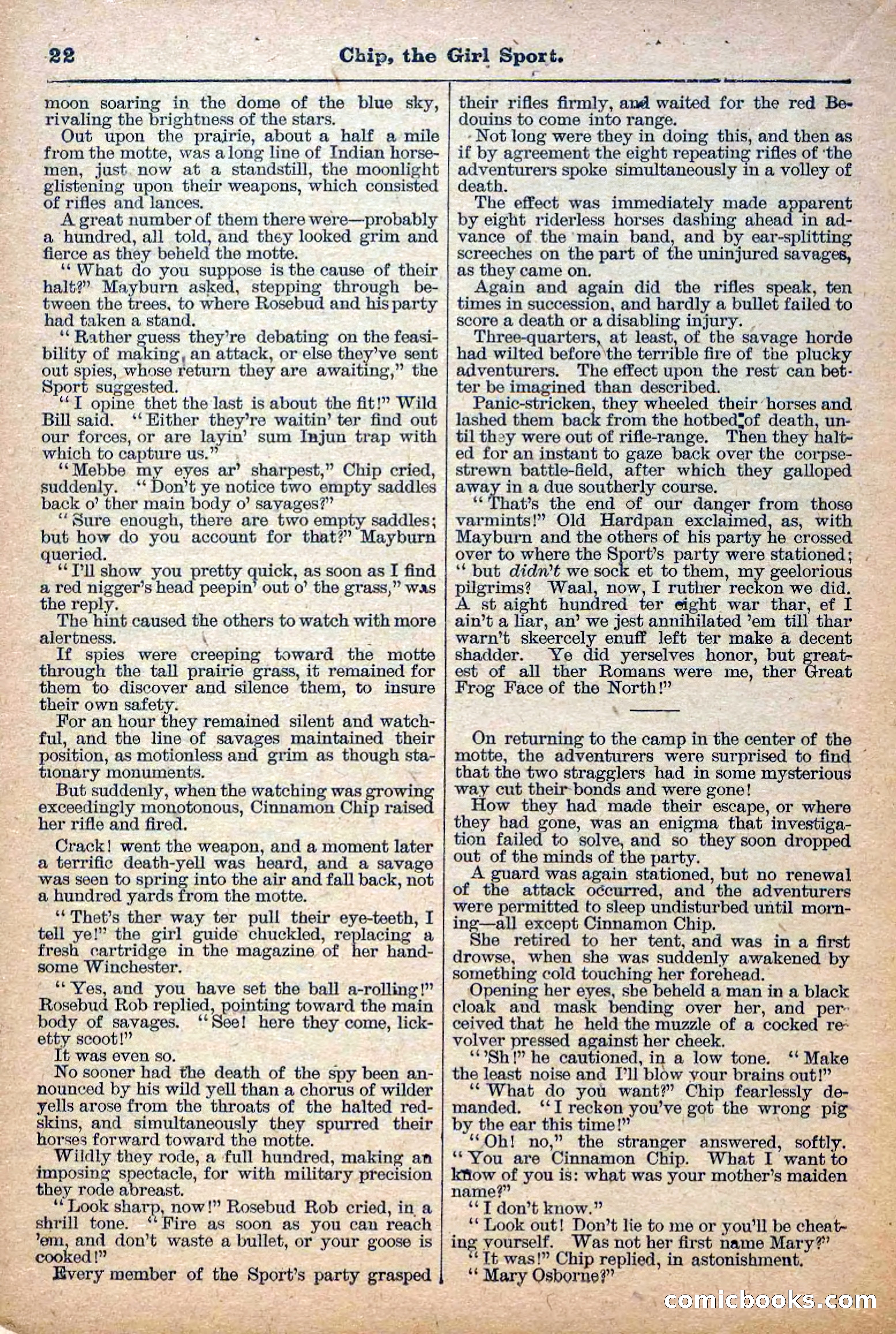 The Deadwood Dick Library, No. 27 — page 24 of 38