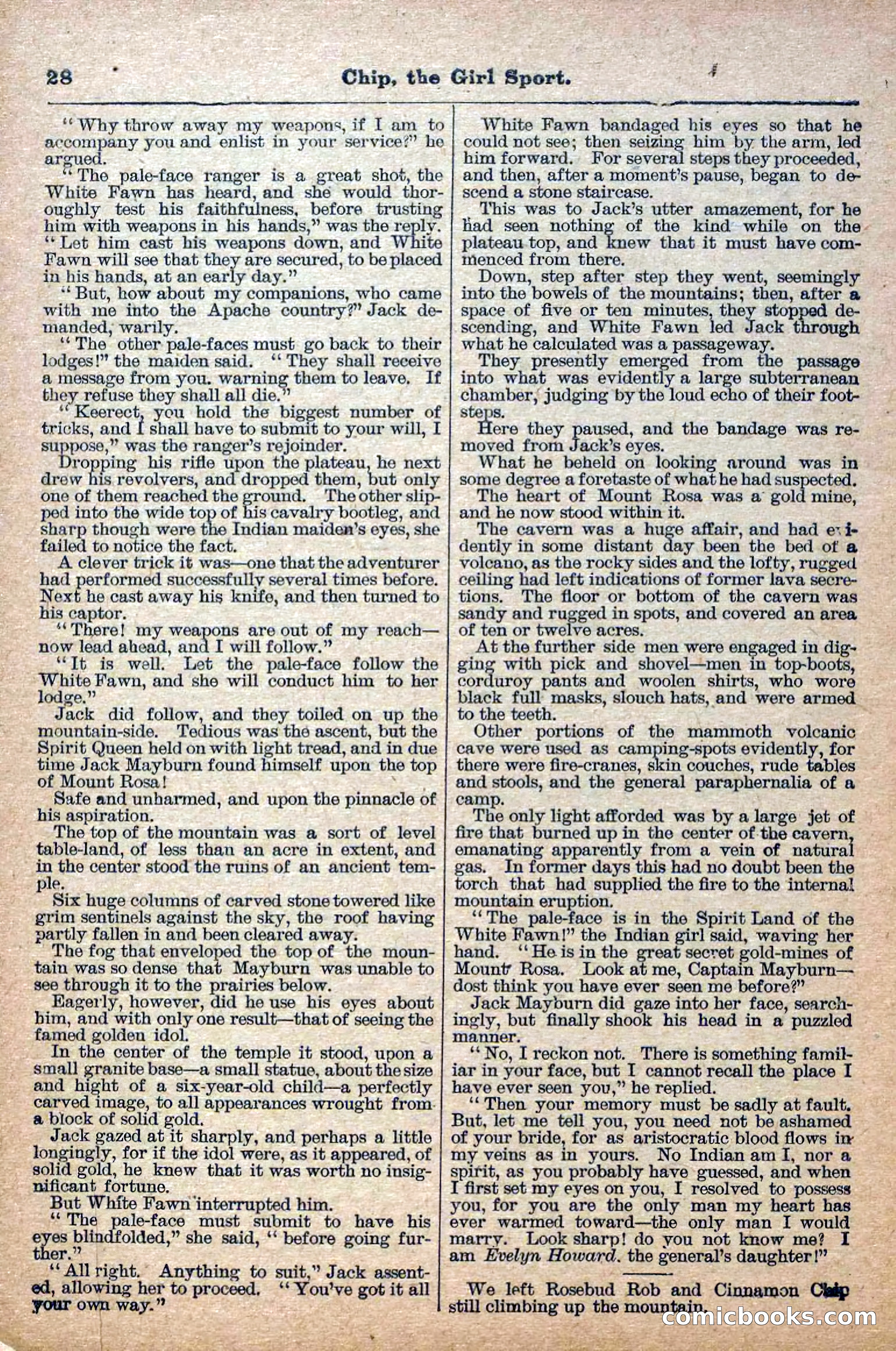 The Deadwood Dick Library, No. 27 — page 30 of 38