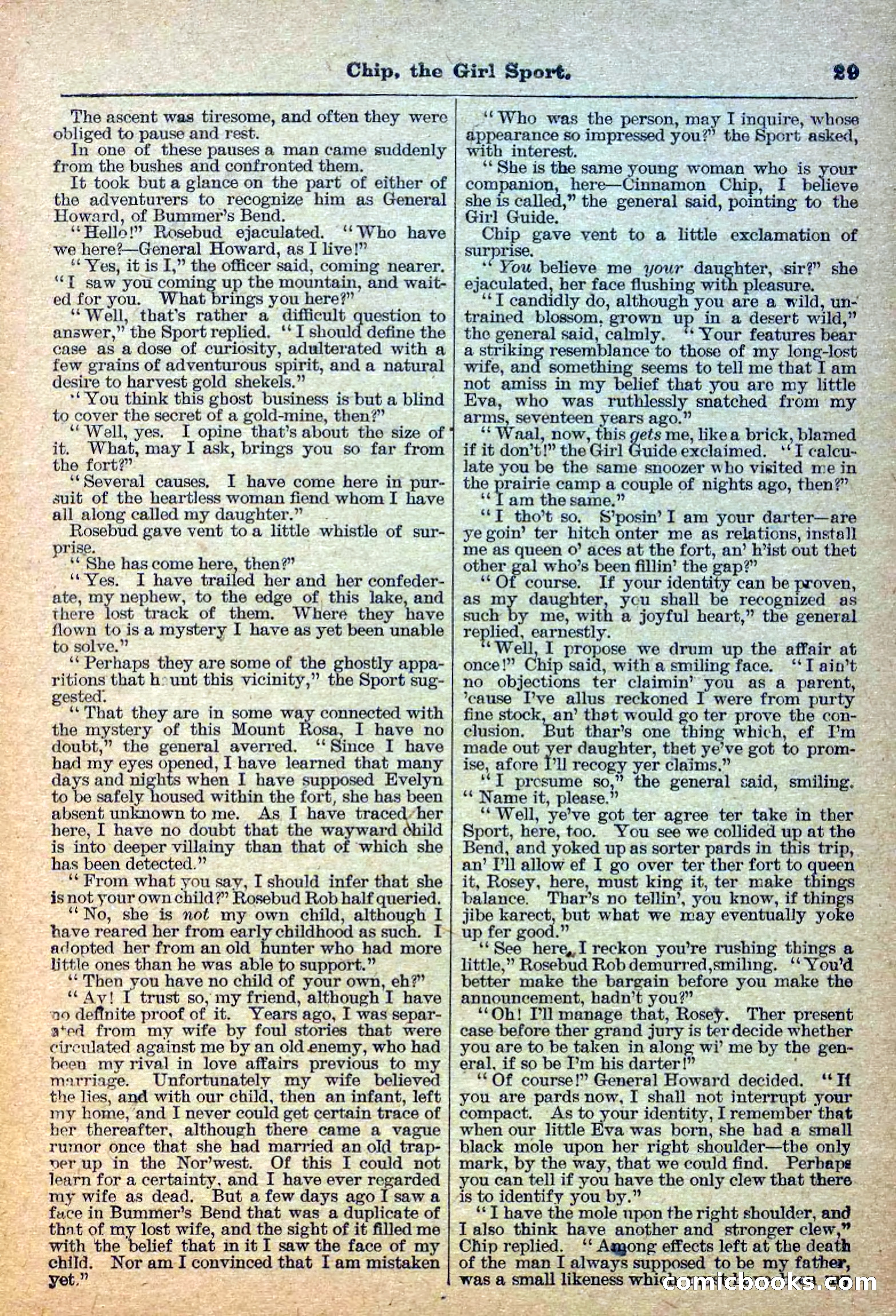 The Deadwood Dick Library, No. 27 — page 31 of 38