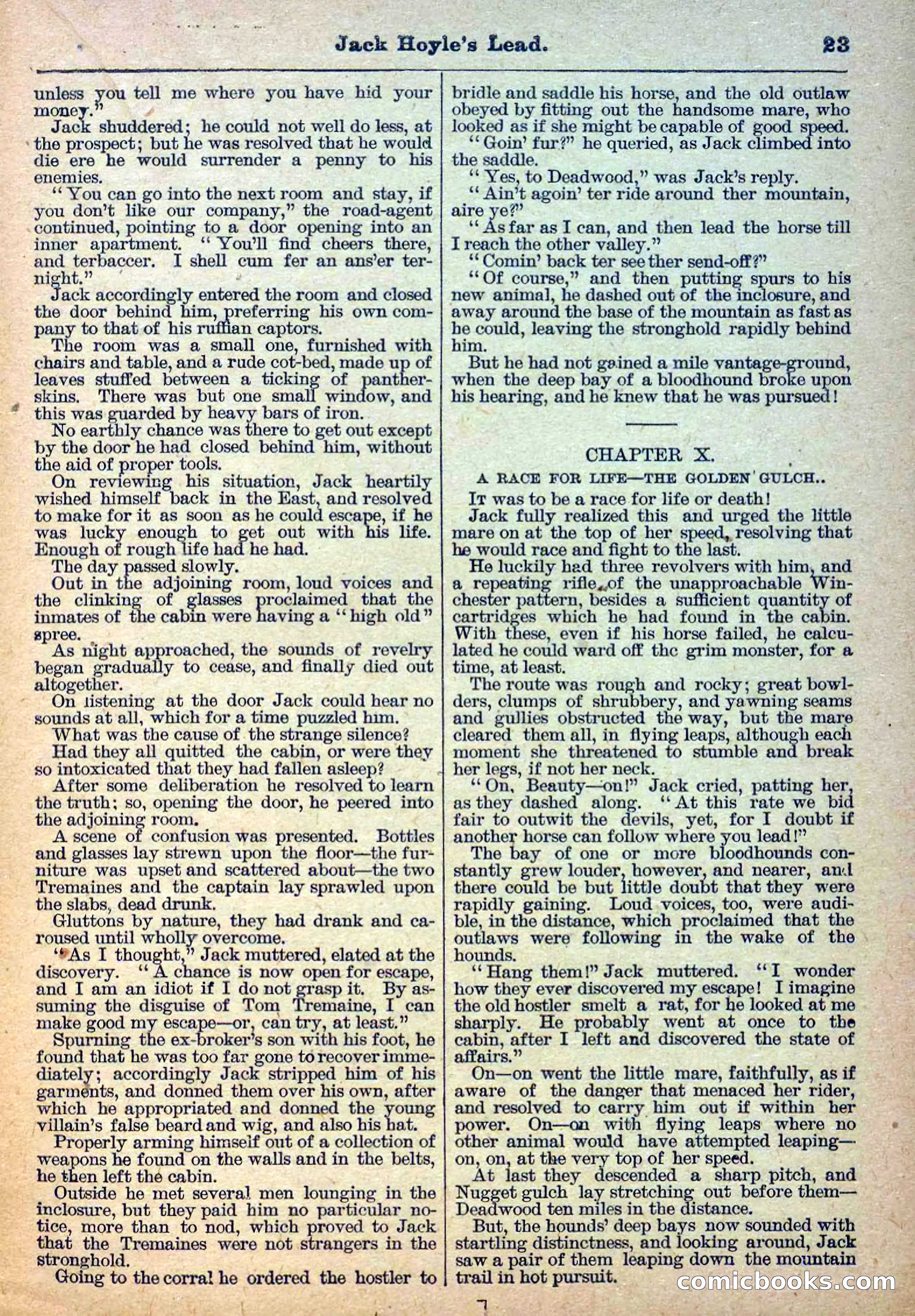 The Deadwood Dick Library, Vol. III, No. 28 — page 25 of 36
