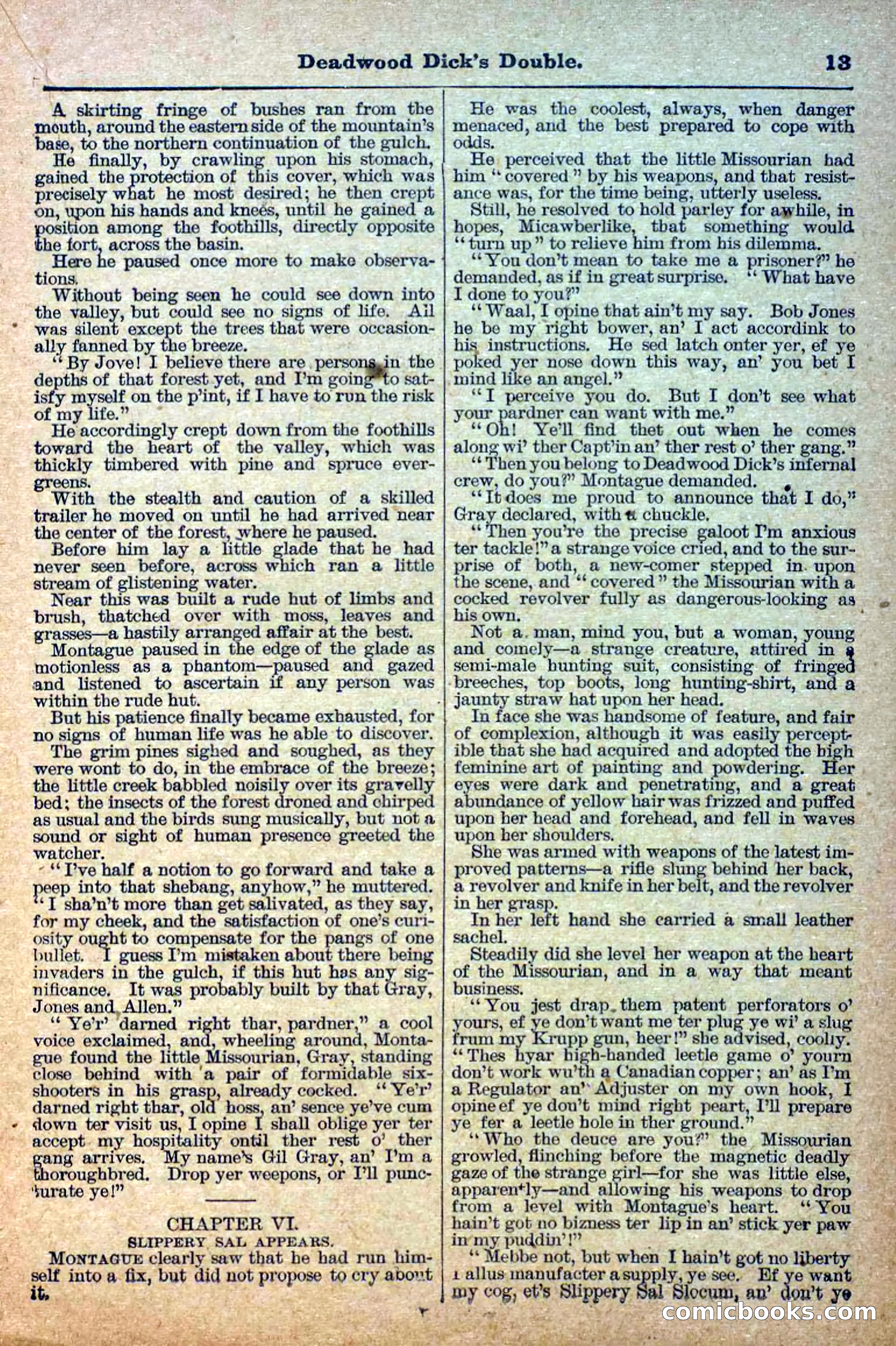Deadwood Dick Library, Vol. III, No. 30 — page 15 of 40