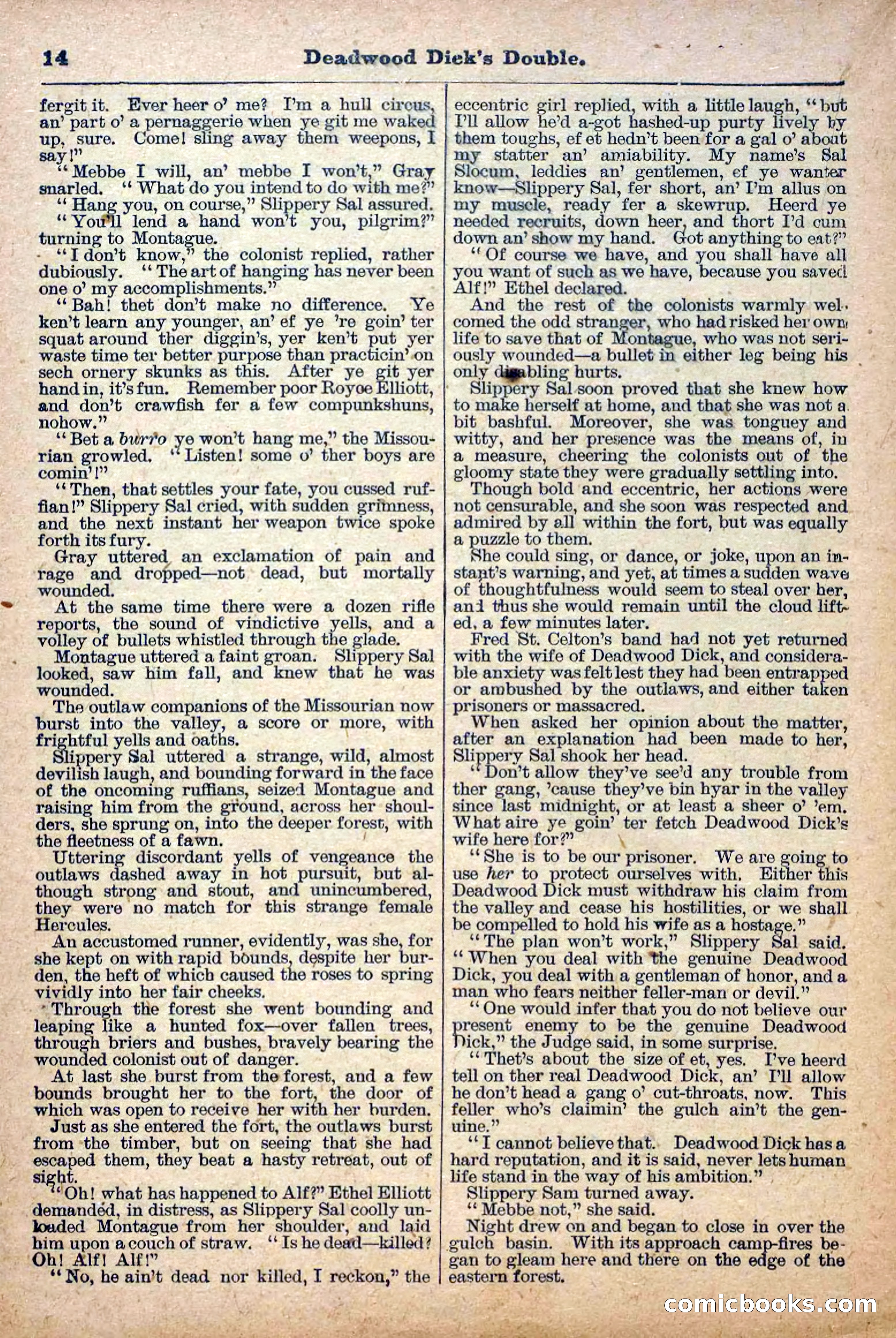 Deadwood Dick Library, Vol. III, No. 30 — page 16 of 40