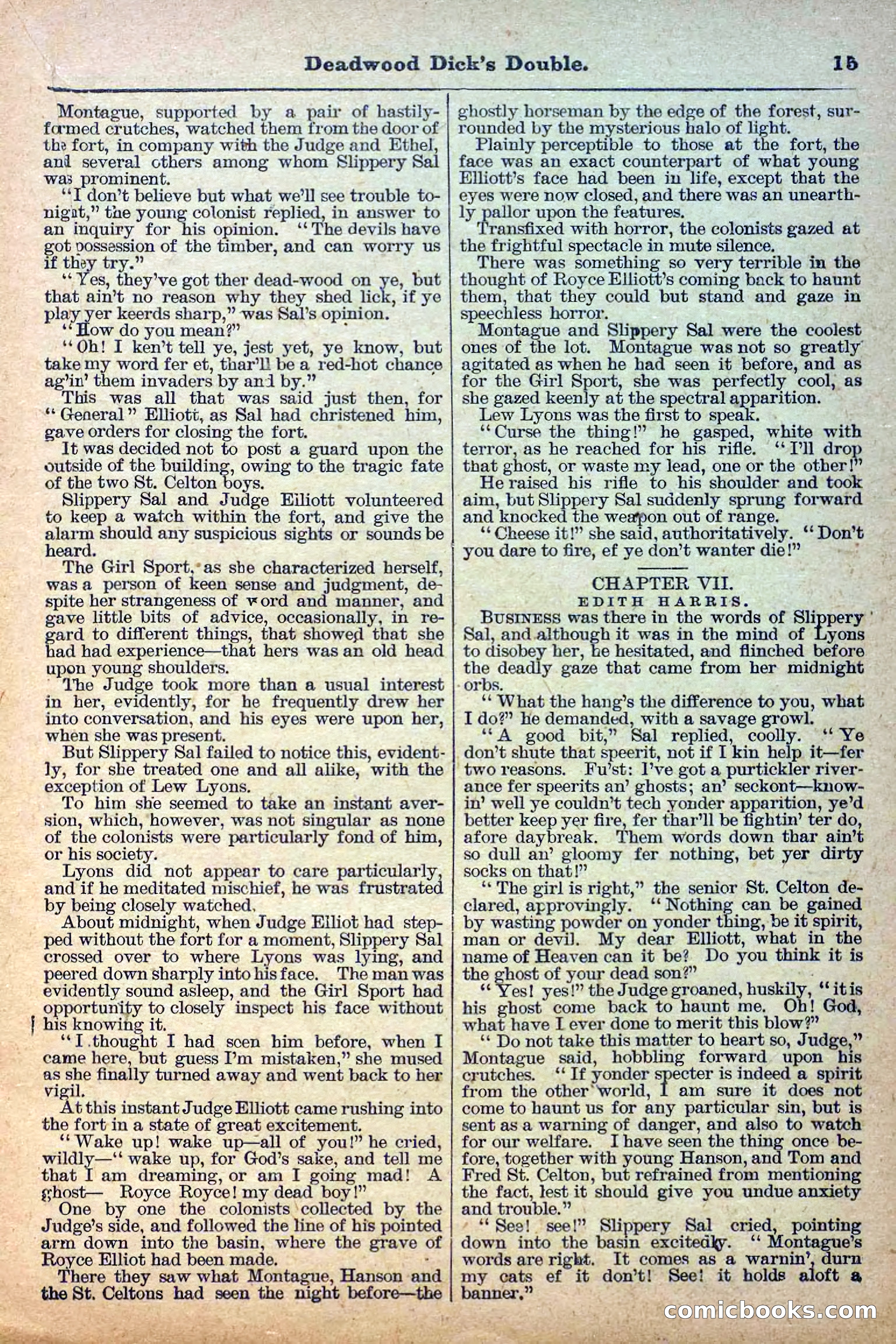 Deadwood Dick Library, Vol. III, No. 30 — page 17 of 40