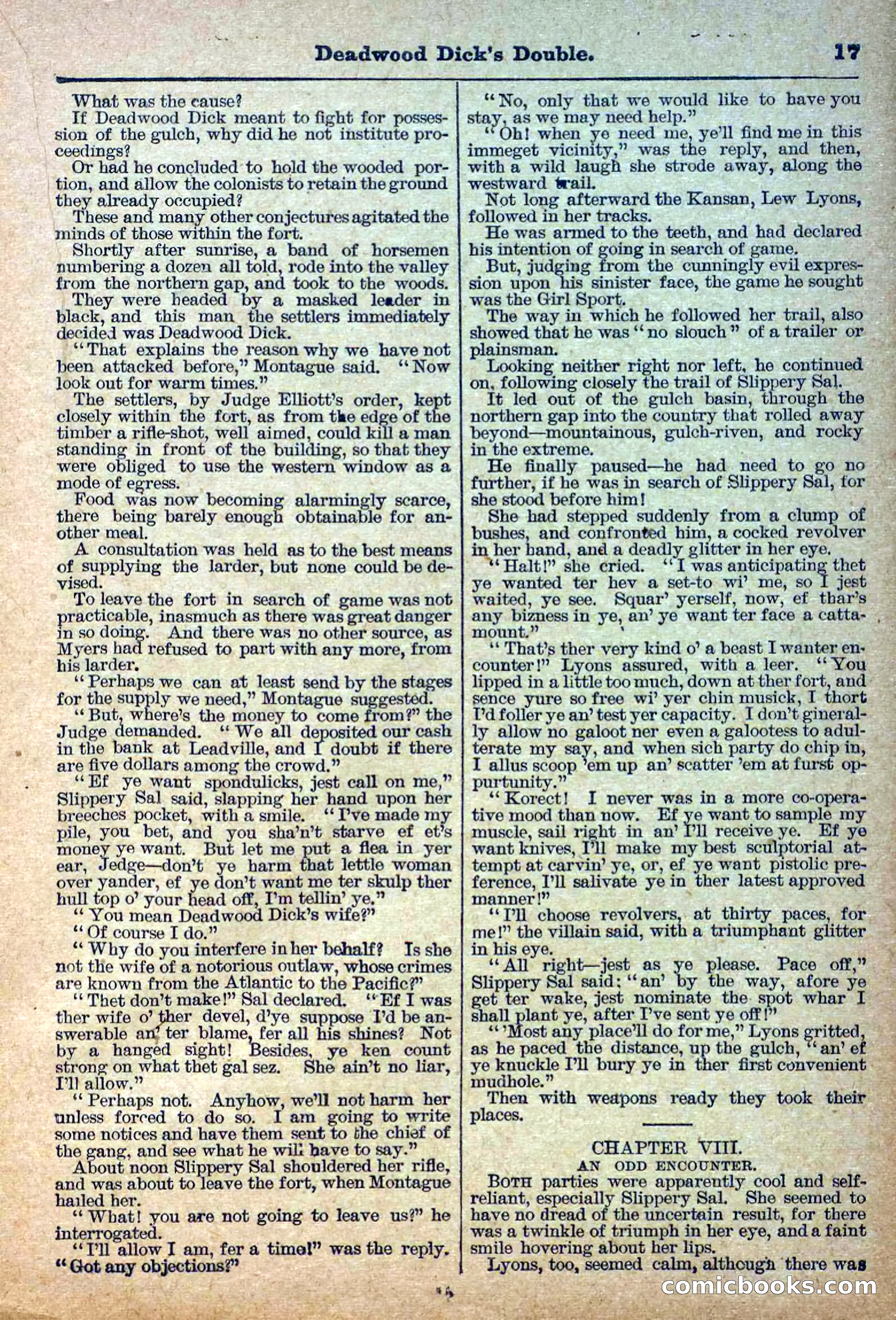 Deadwood Dick Library, Vol. III, No. 30 — page 19 of 40