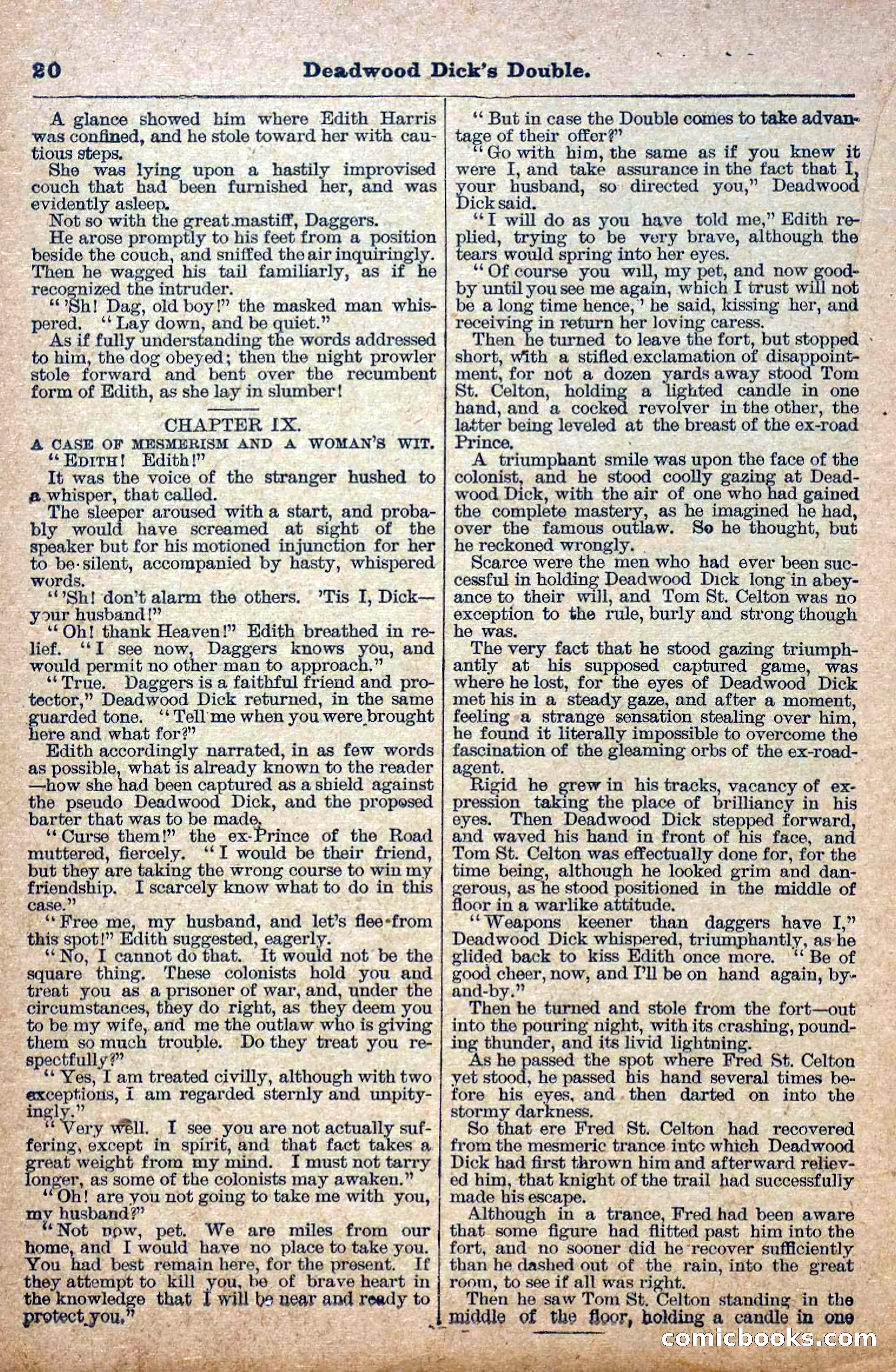 Deadwood Dick Library, Vol. III, No. 30 — page 22 of 40