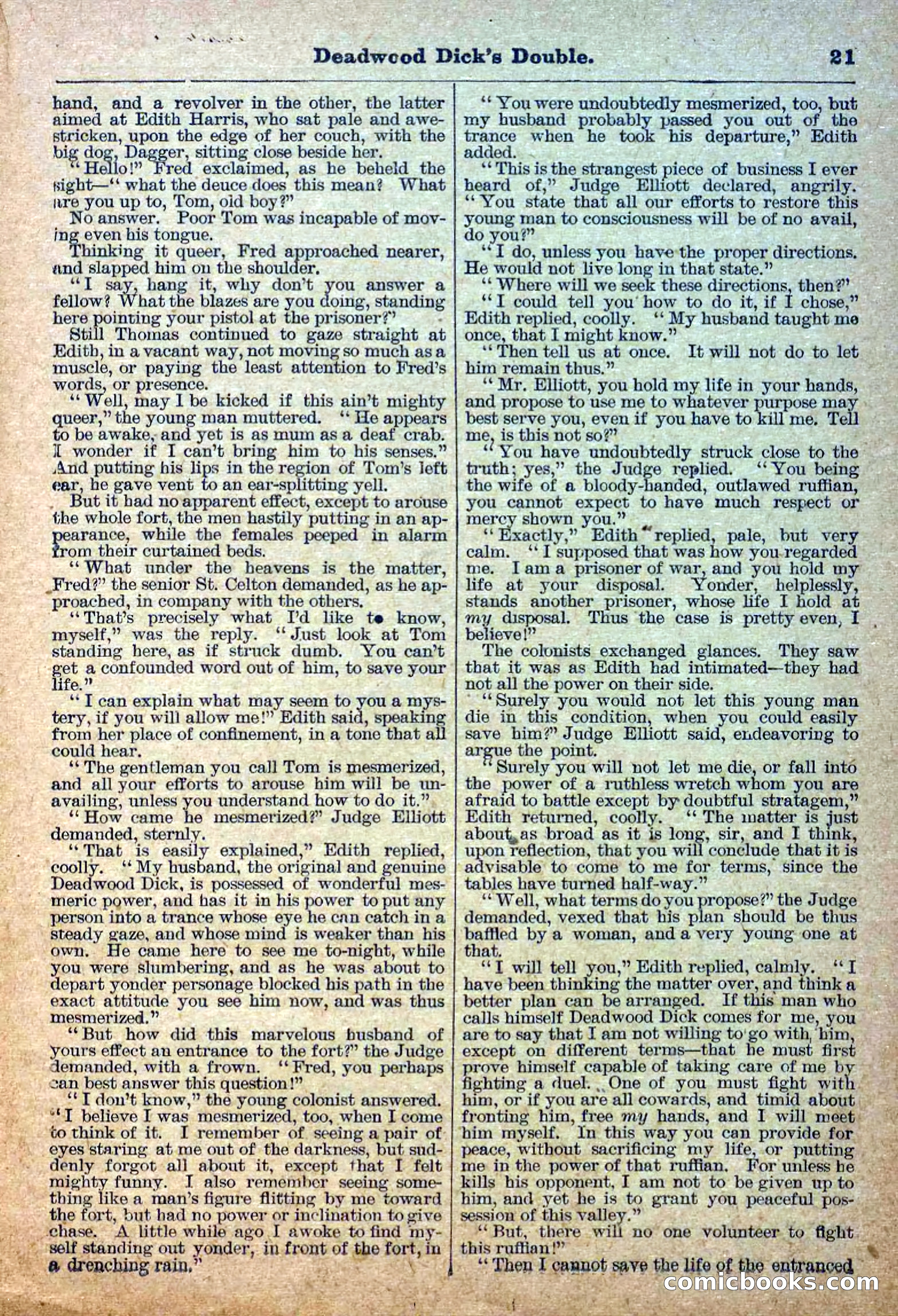 Deadwood Dick Library, Vol. III, No. 30 — page 23 of 40