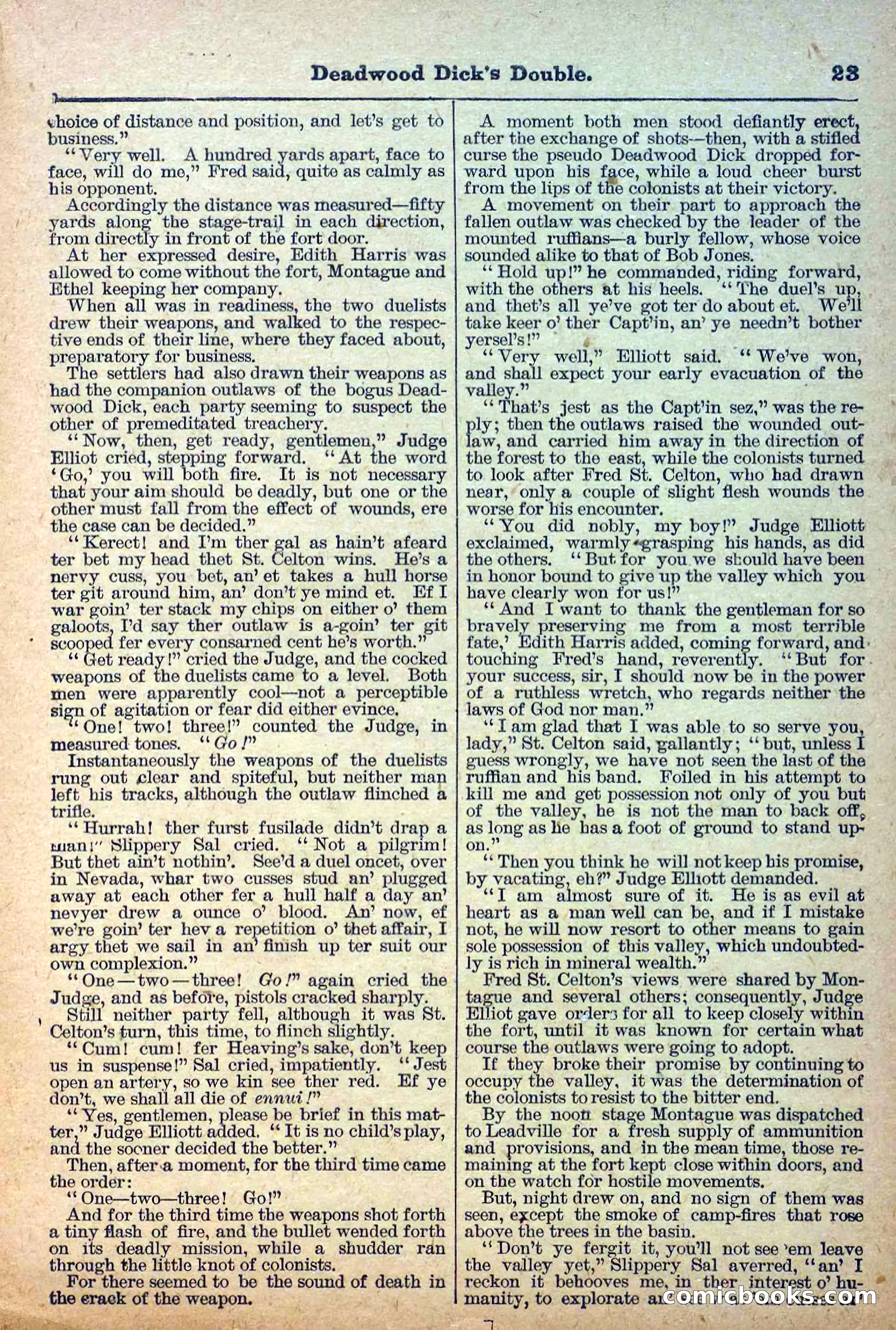 Deadwood Dick Library, Vol. III, No. 30 — page 25 of 40