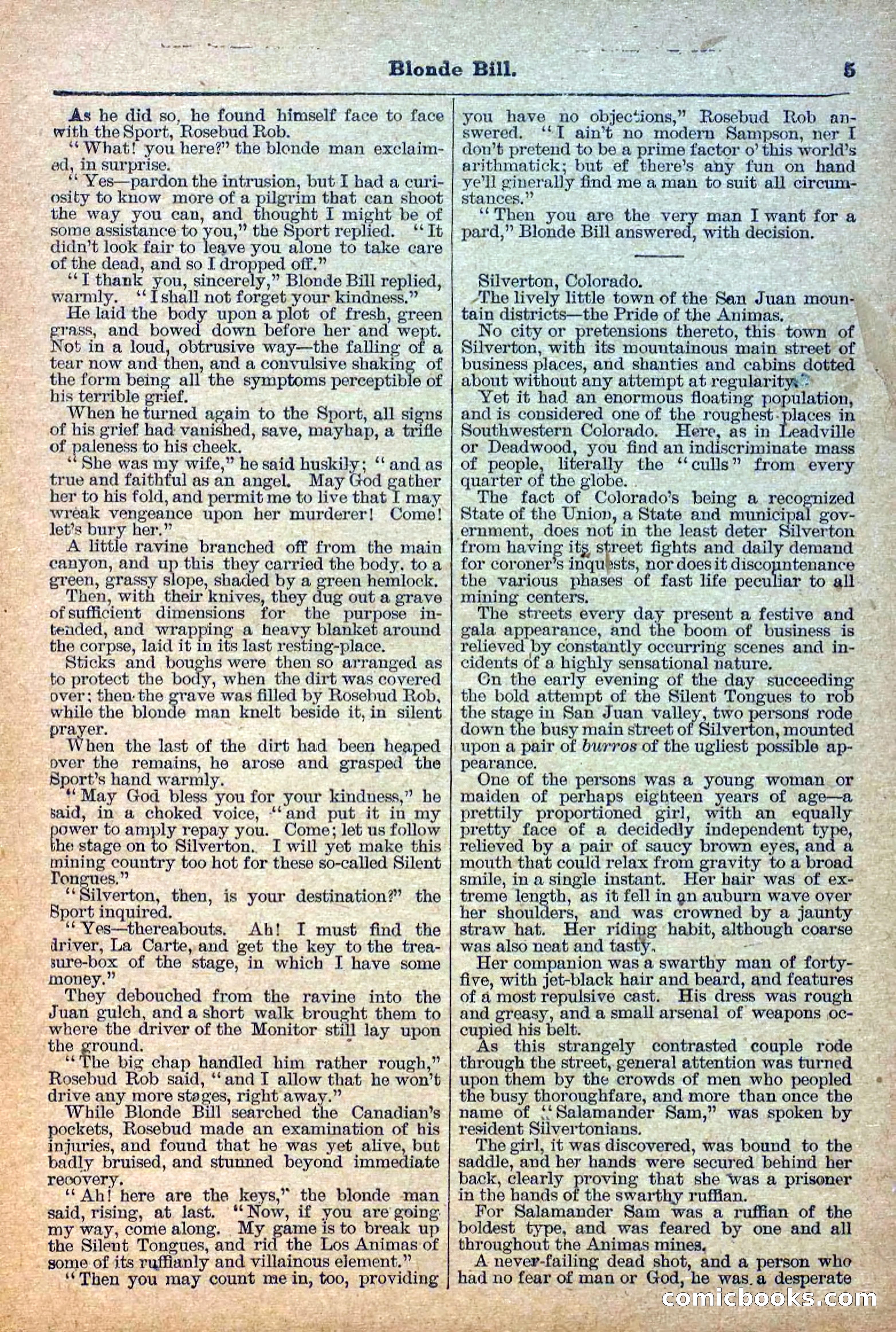 Deadwood Dick Library, Vol. III, No. 31 — page 7 of 42