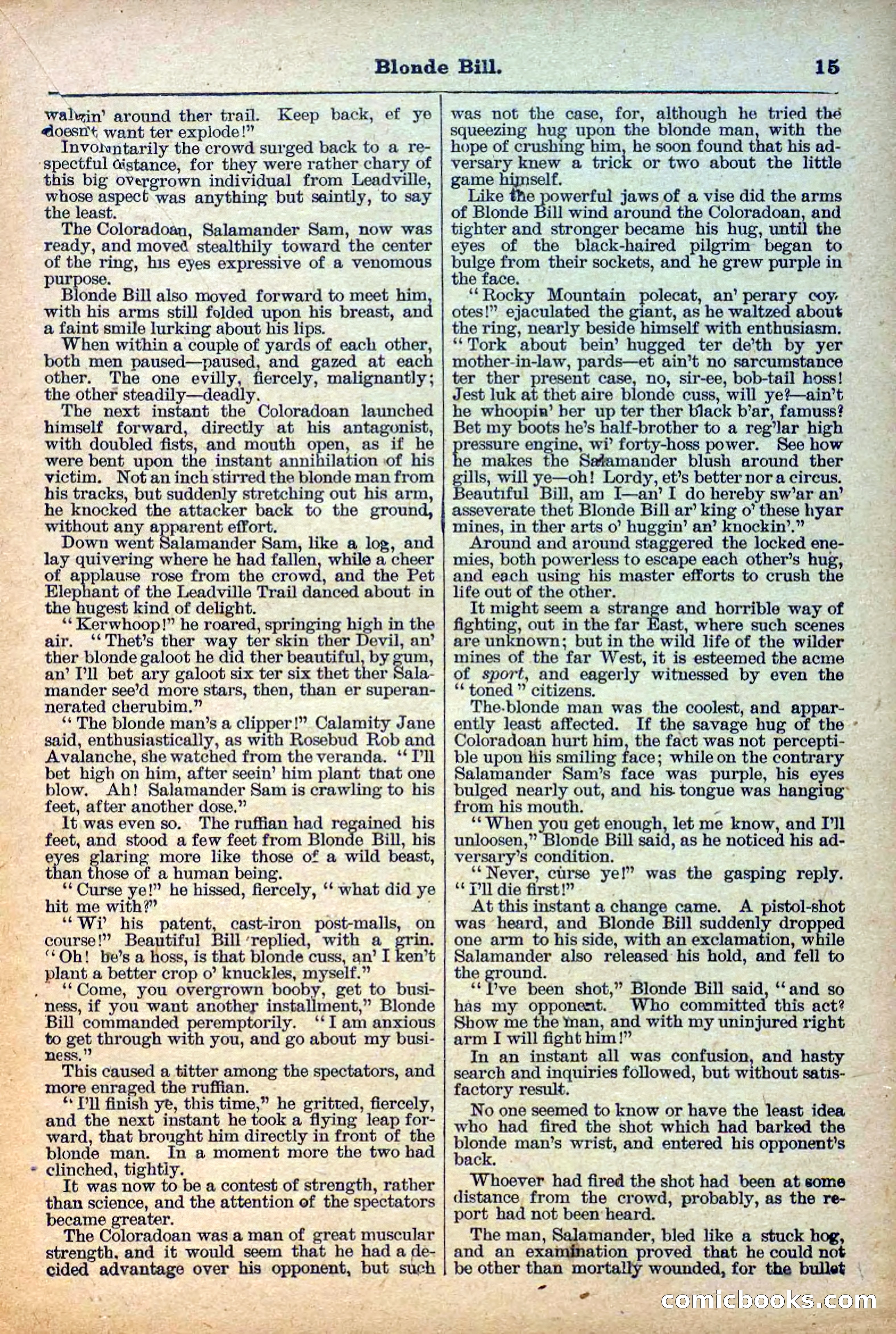 Deadwood Dick Library, Vol. III, No. 31 — page 17 of 42