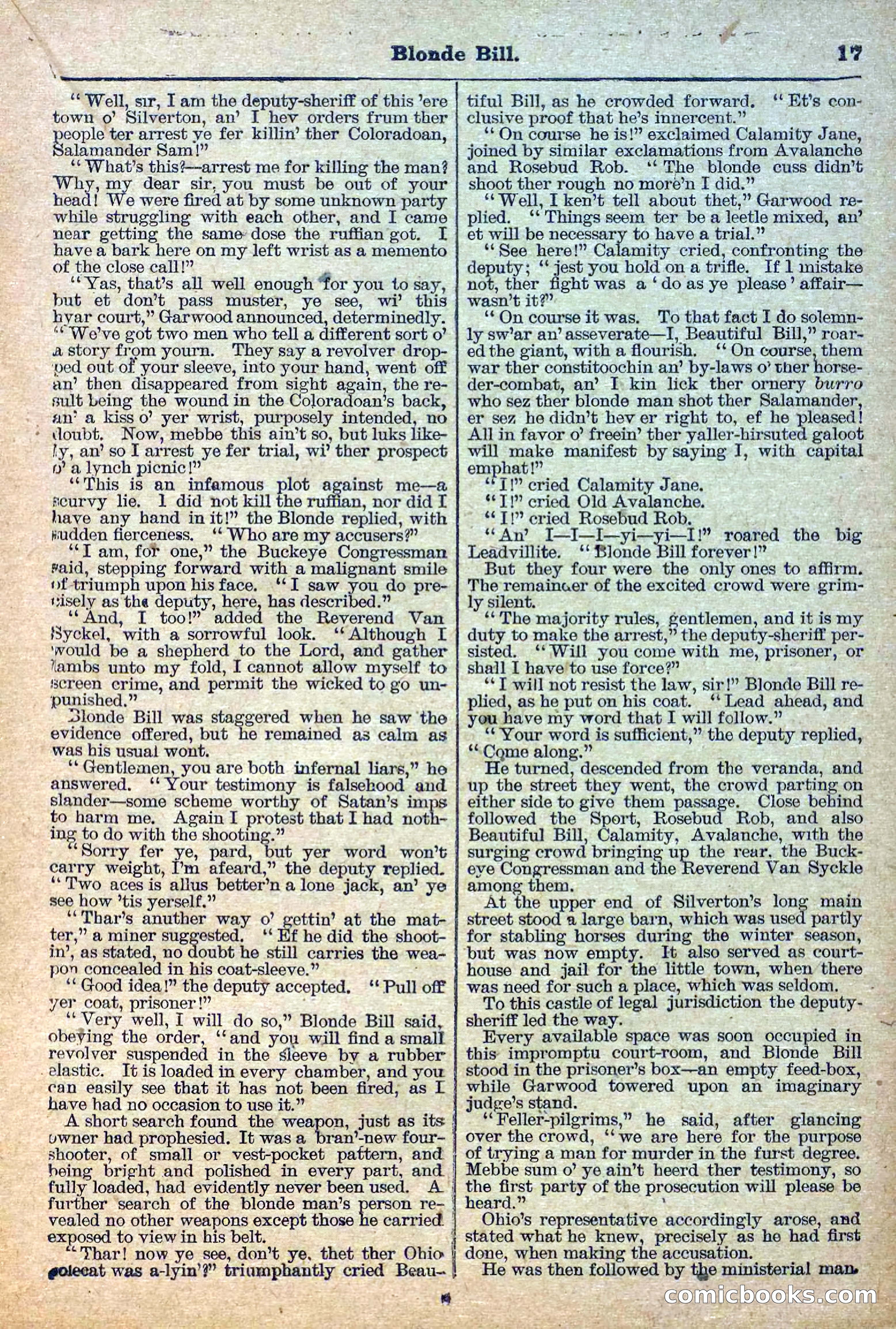 Deadwood Dick Library, Vol. III, No. 31 — page 19 of 42
