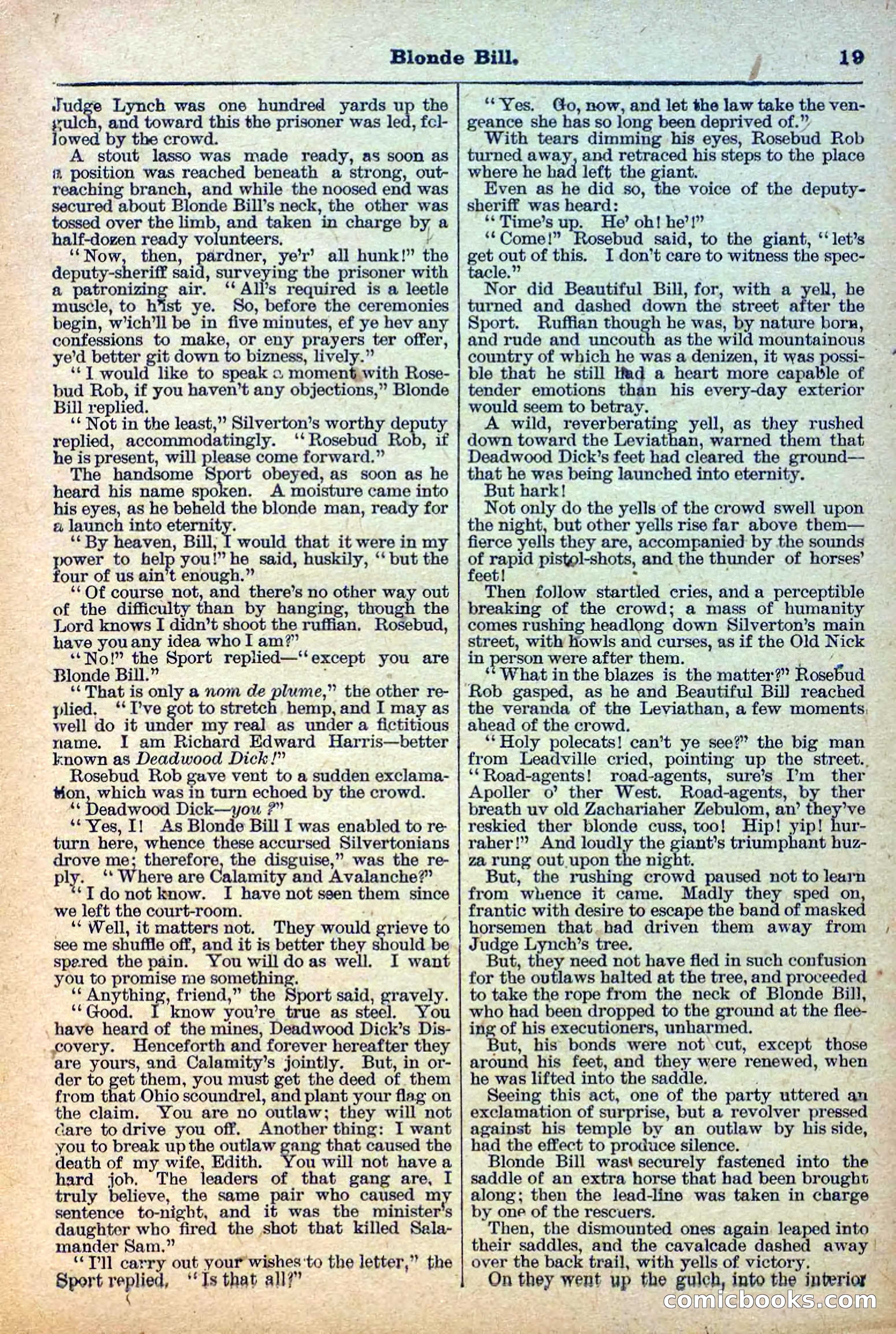 Deadwood Dick Library, Vol. III, No. 31 — page 21 of 42