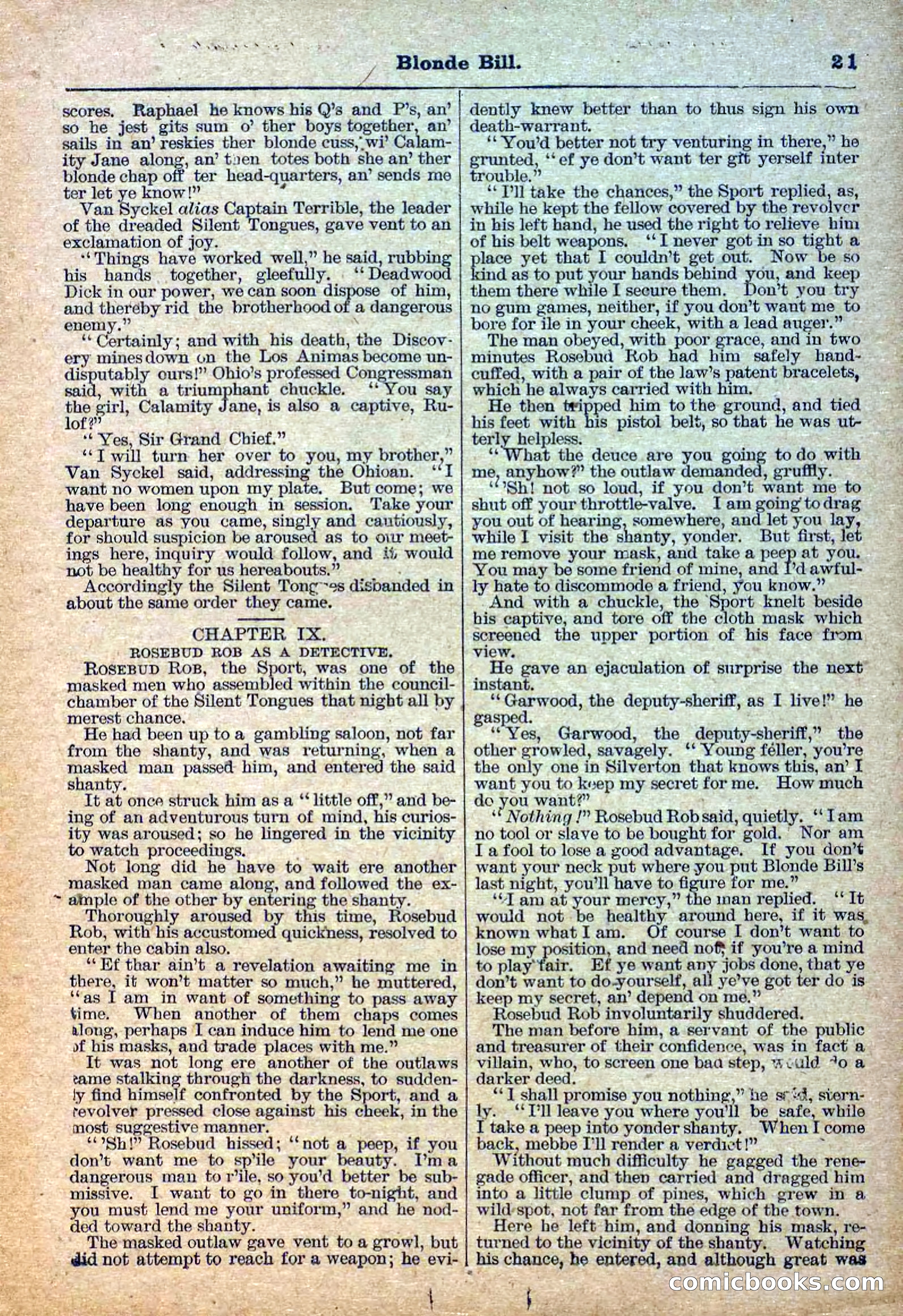 Deadwood Dick Library, Vol. III, No. 31 — page 23 of 42