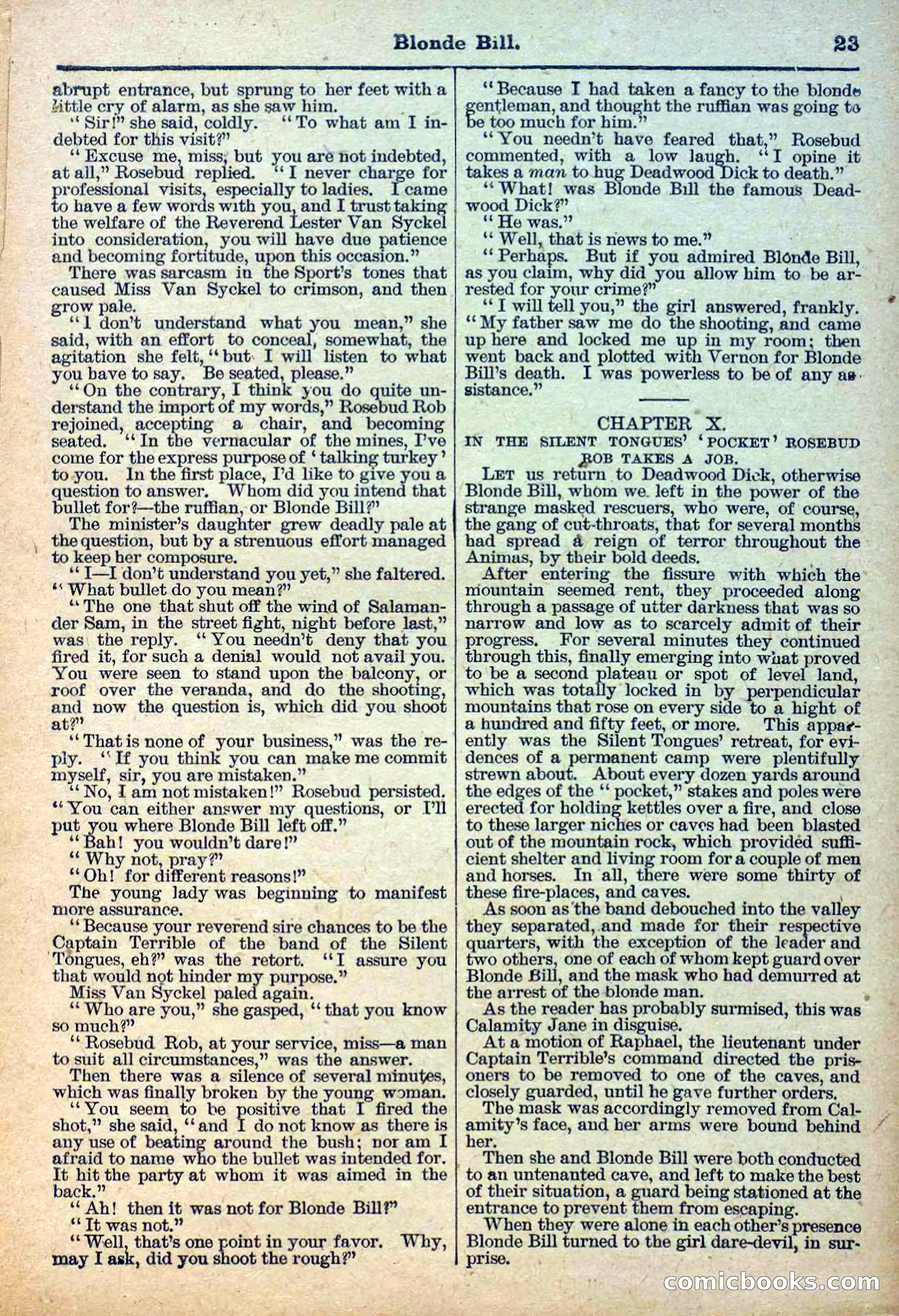 Deadwood Dick Library, Vol. III, No. 31 — page 25 of 42