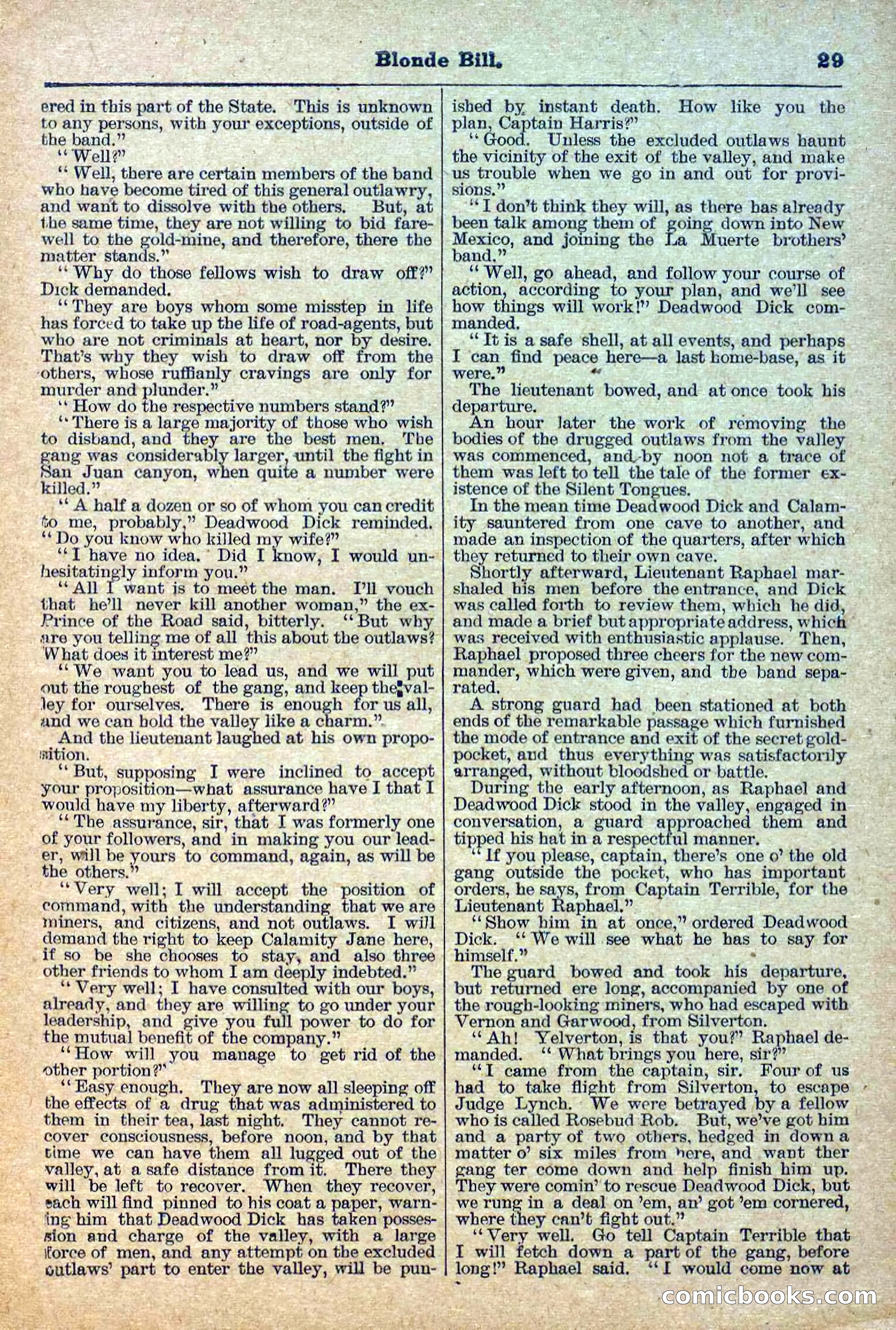 Deadwood Dick Library, Vol. III, No. 31 — page 31 of 42