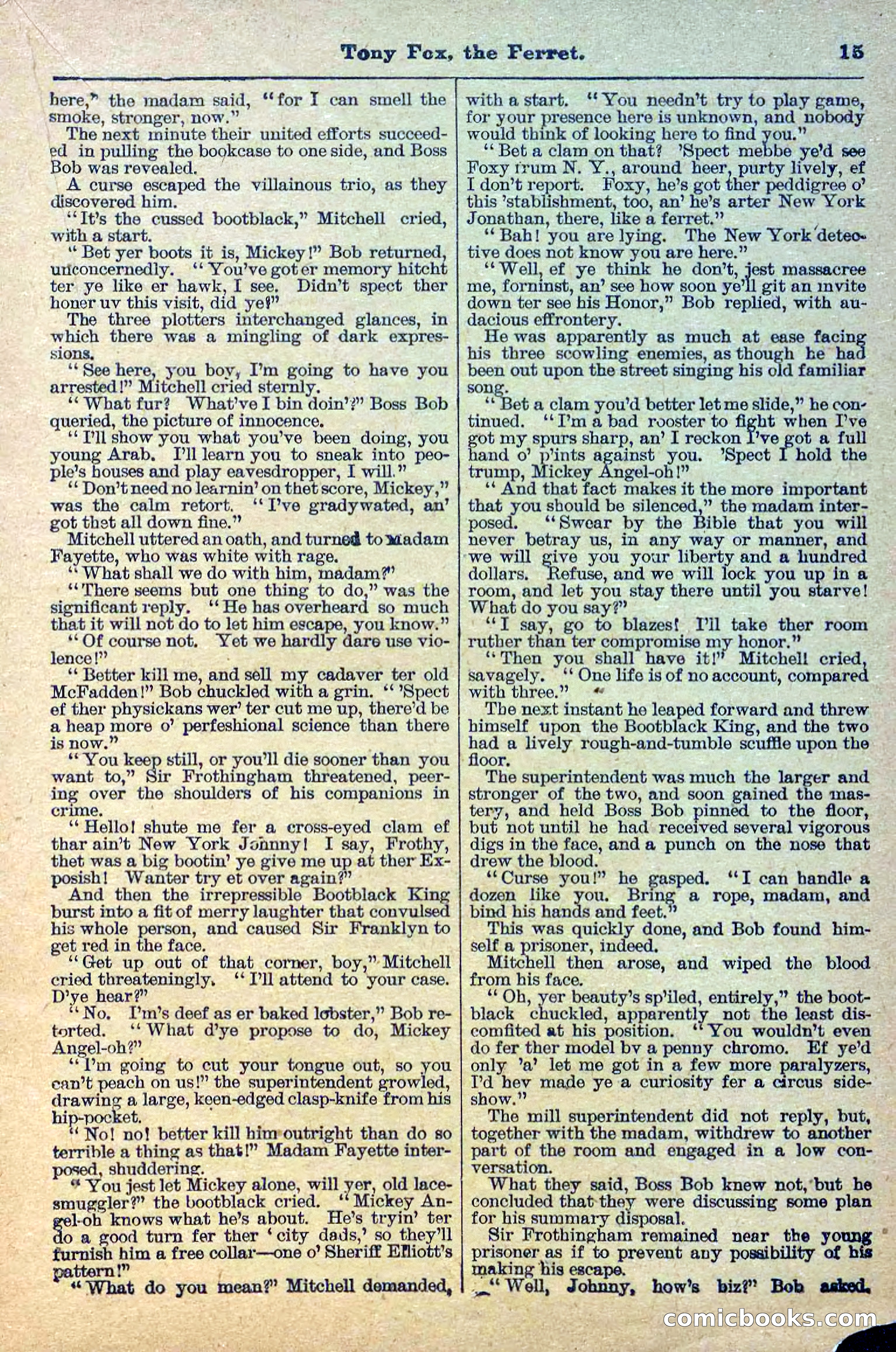 The Deadwood Dick Library, Vol. III, No. 33 — page 17 of 39