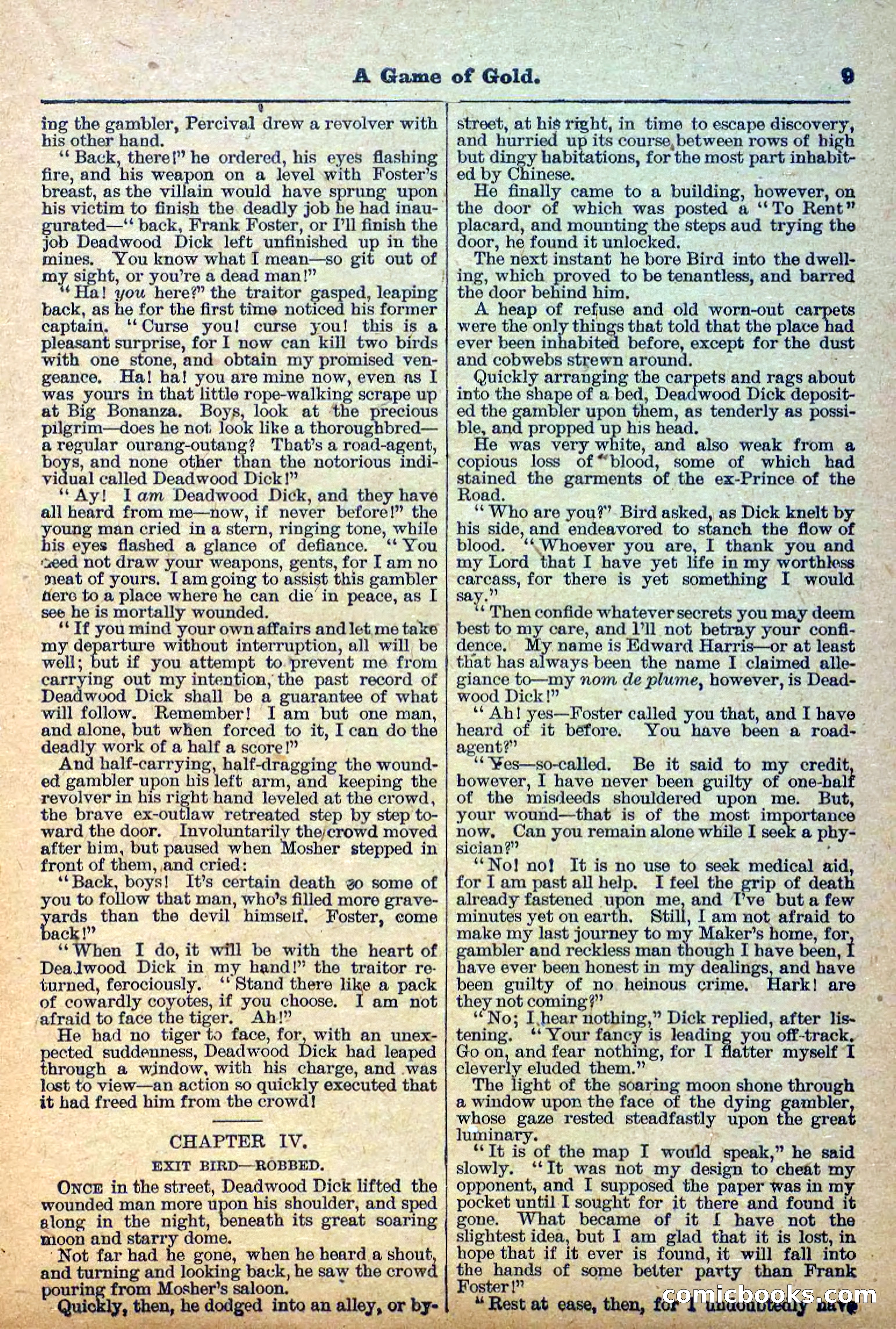The Deadwood Dick Library, Vol. III, No. 34 — page 11 of 42