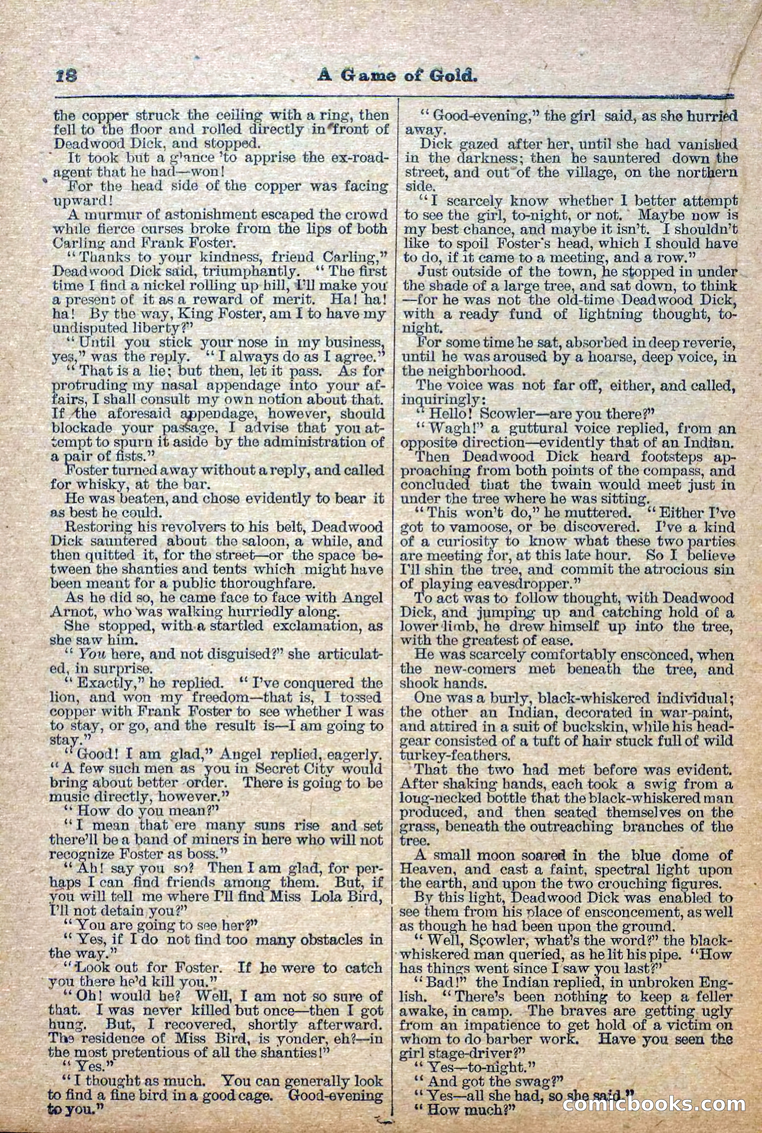 The Deadwood Dick Library, Vol. III, No. 34 — page 20 of 42