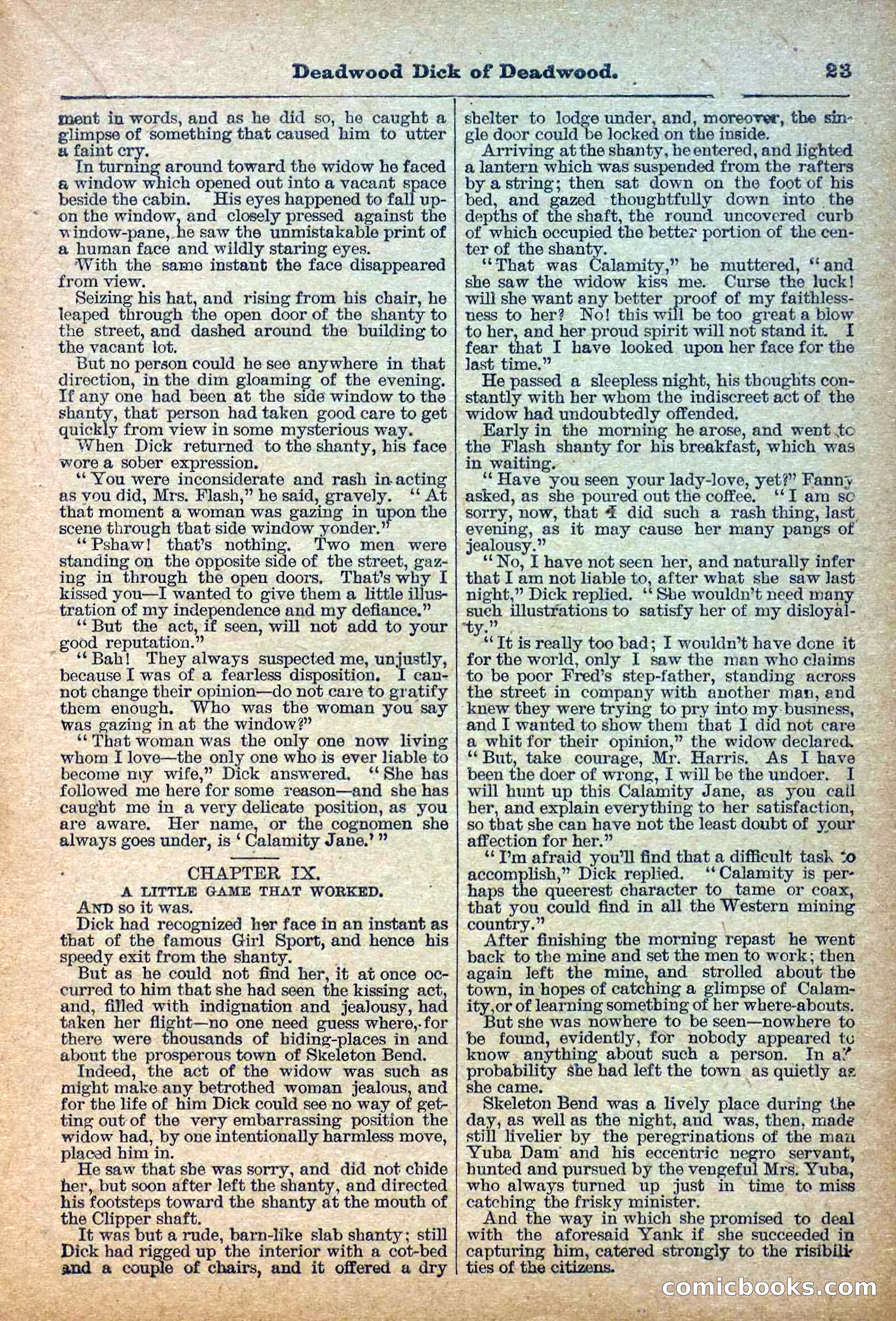 The Deadwood Dick Library, Vol. III, No. 35 — page 25 of 42