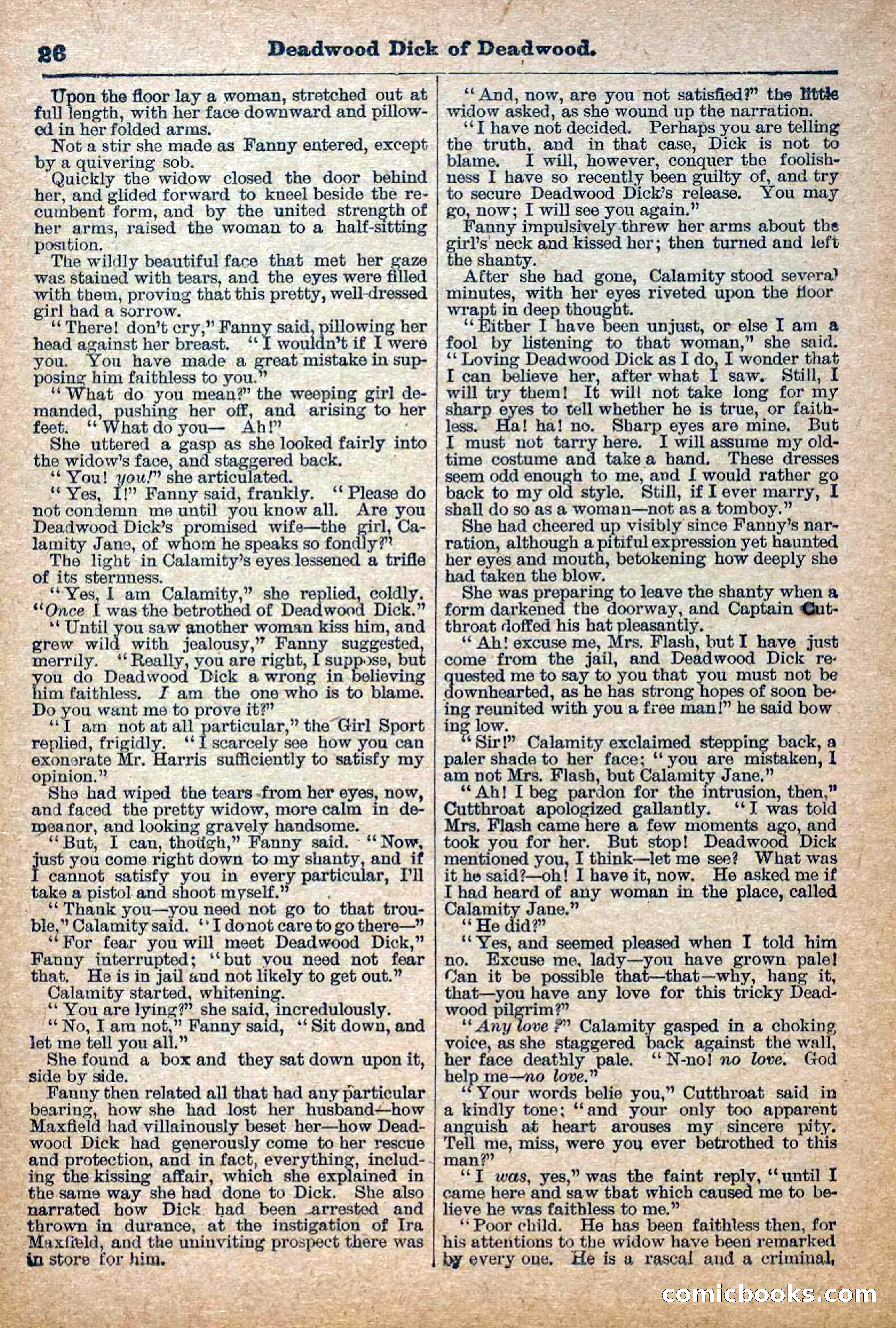 The Deadwood Dick Library, Vol. III, No. 35 — page 28 of 42