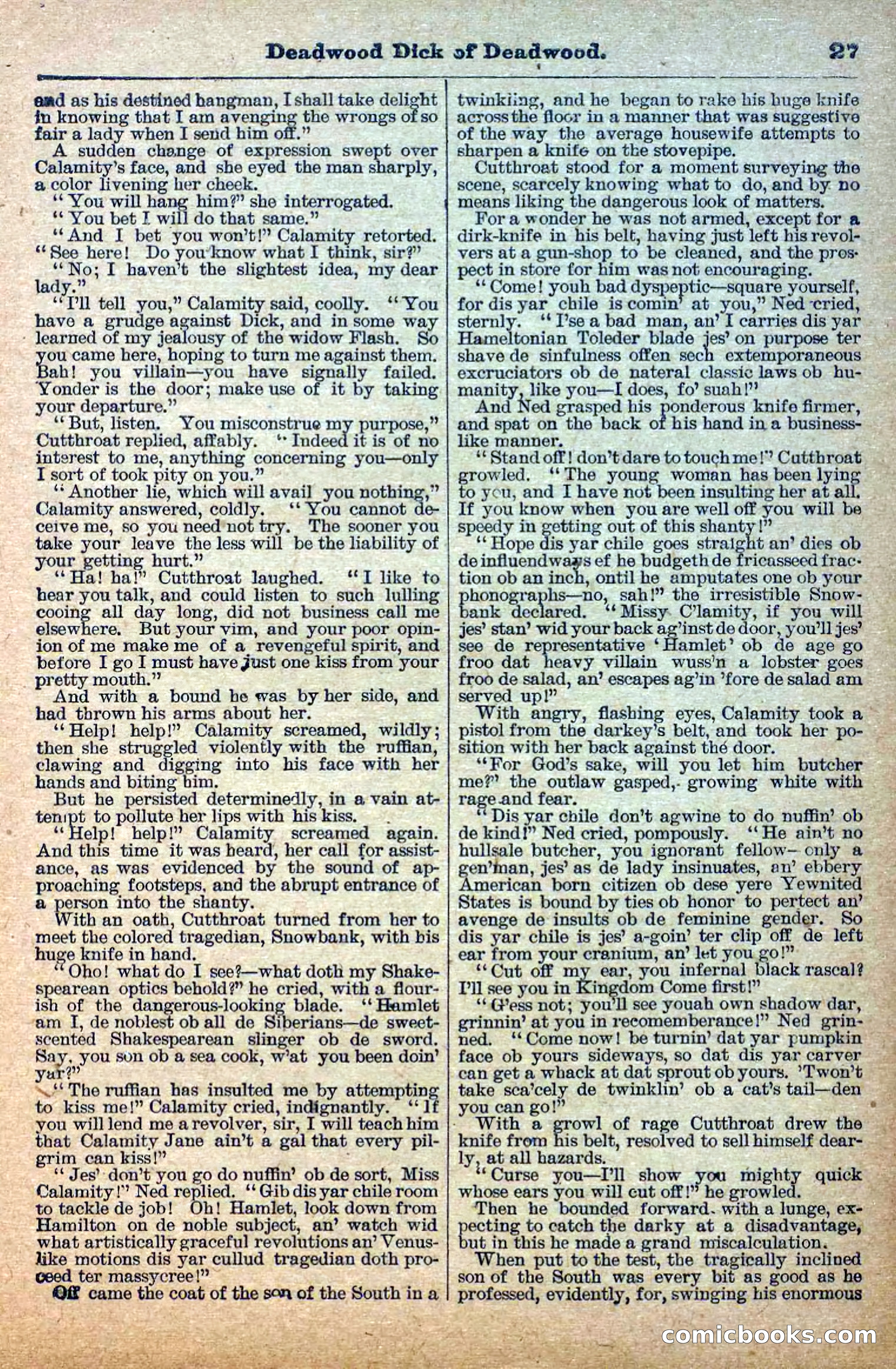 The Deadwood Dick Library, Vol. III, No. 35 — page 29 of 42