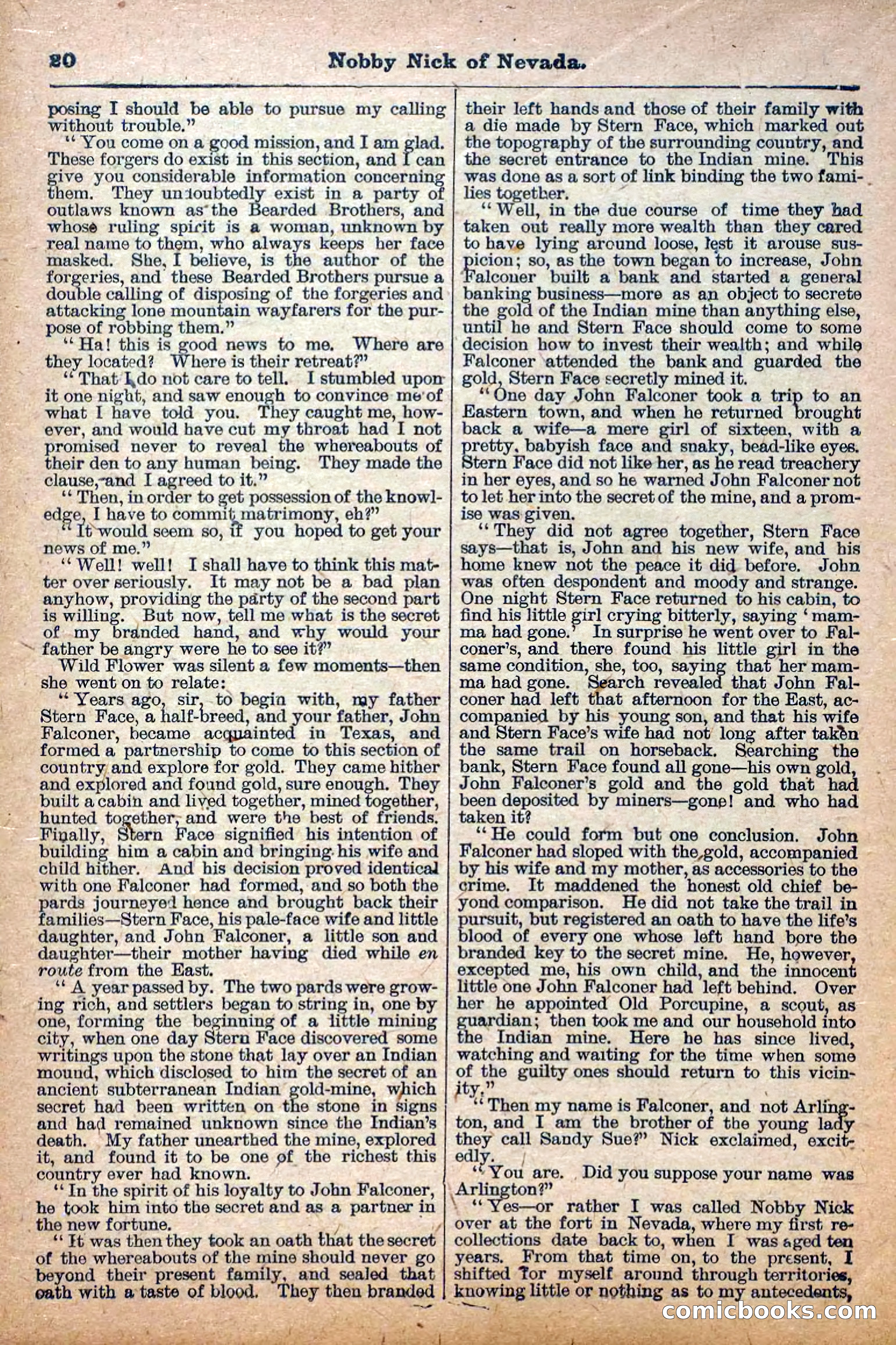 The Deadwood Dick Library, Vol. III, No. 37 — page 22 of 42