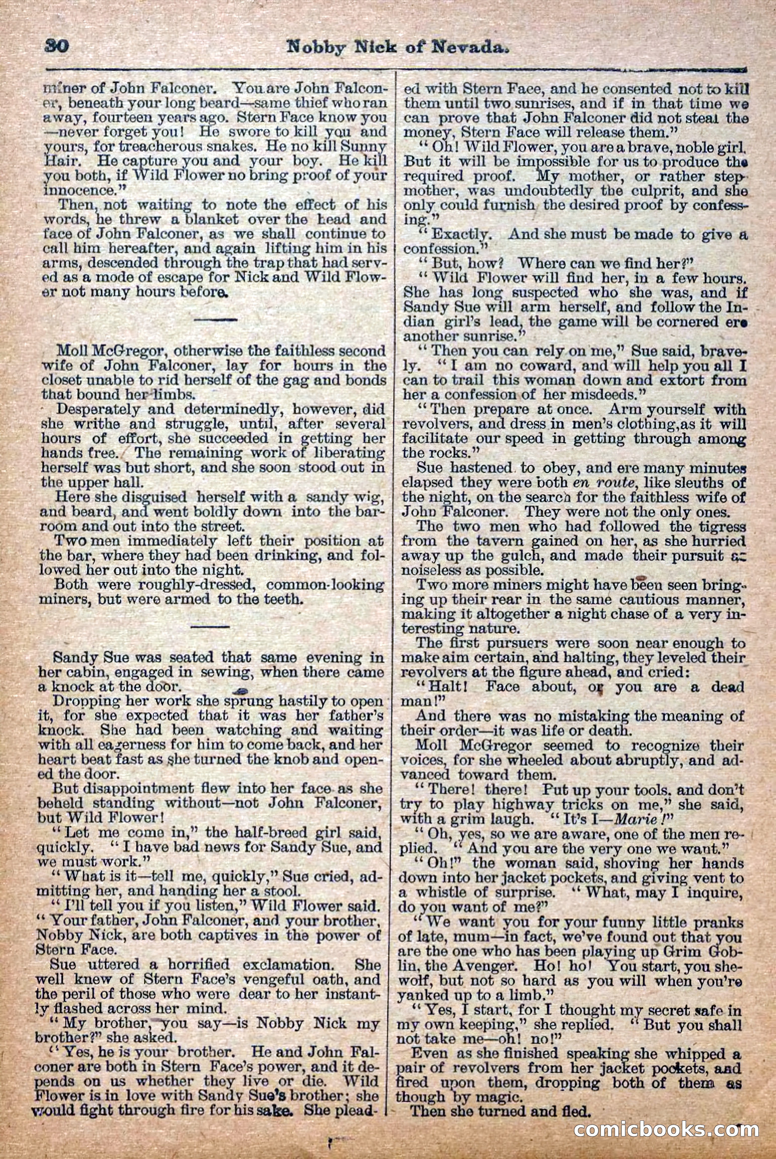 The Deadwood Dick Library, Vol. III, No. 37 — page 32 of 42