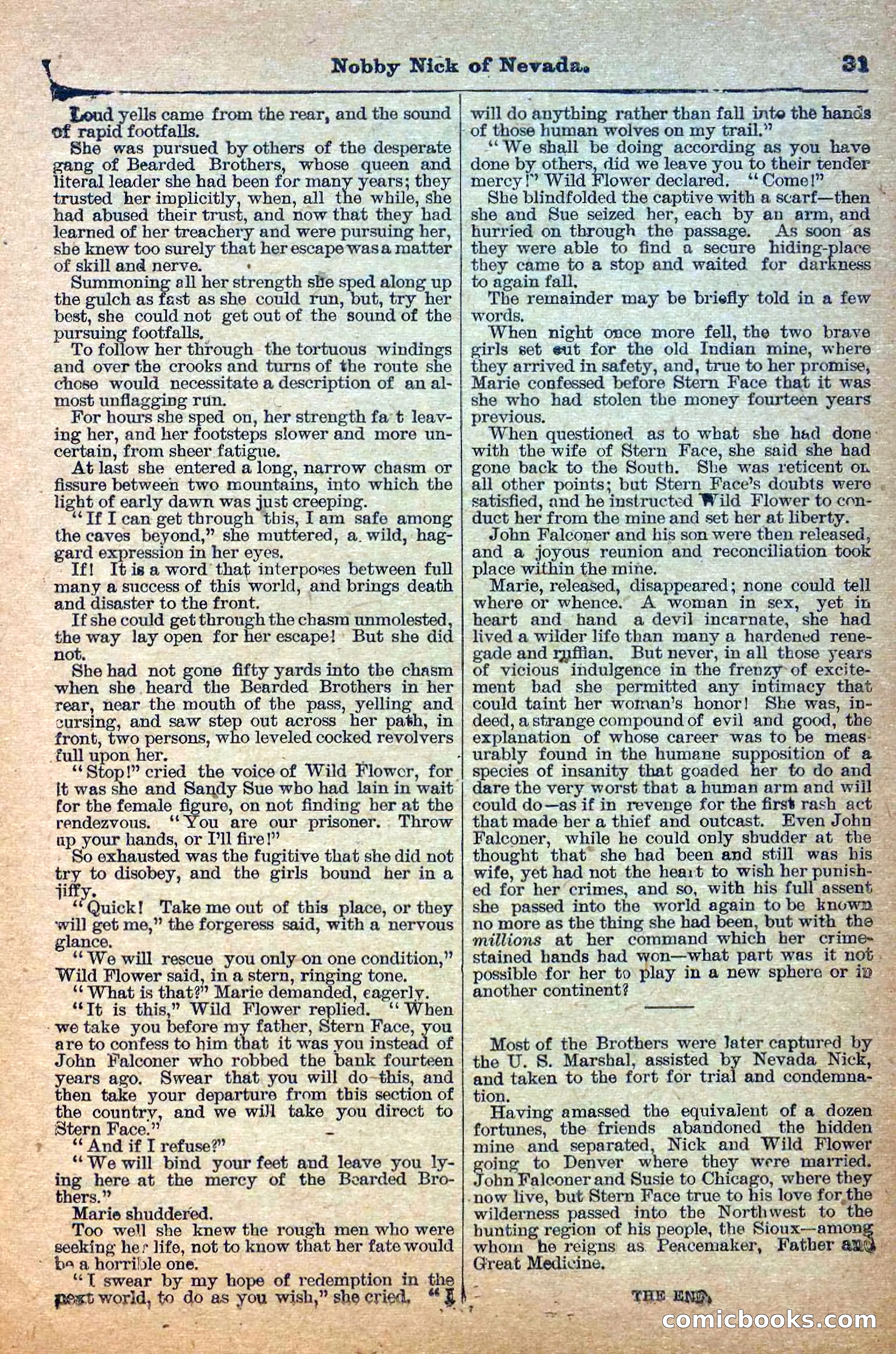 The Deadwood Dick Library, Vol. III, No. 37 — page 33 of 42