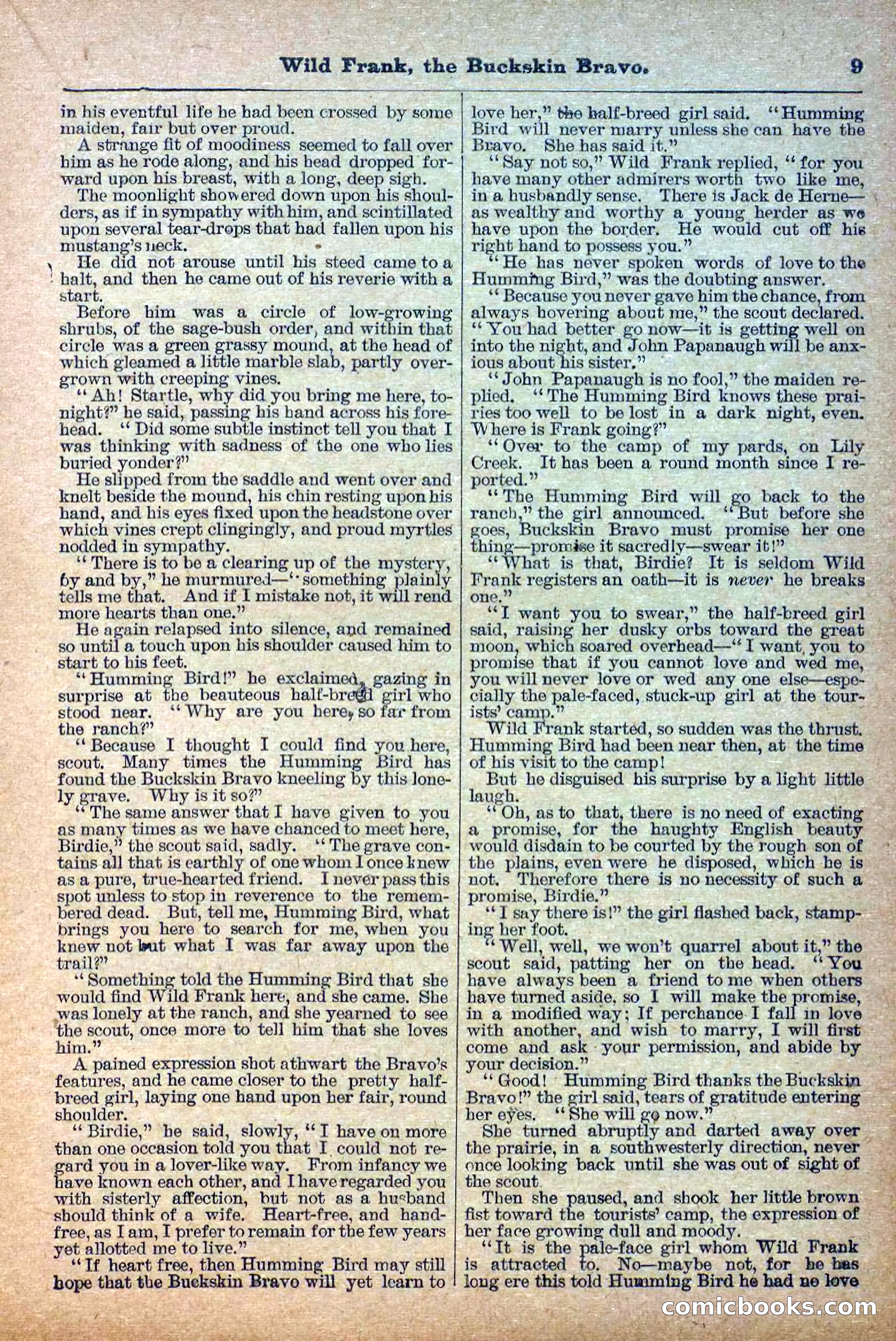 The Deadwood Dick Library, Vol. III, No. 38 — page 11 of 42