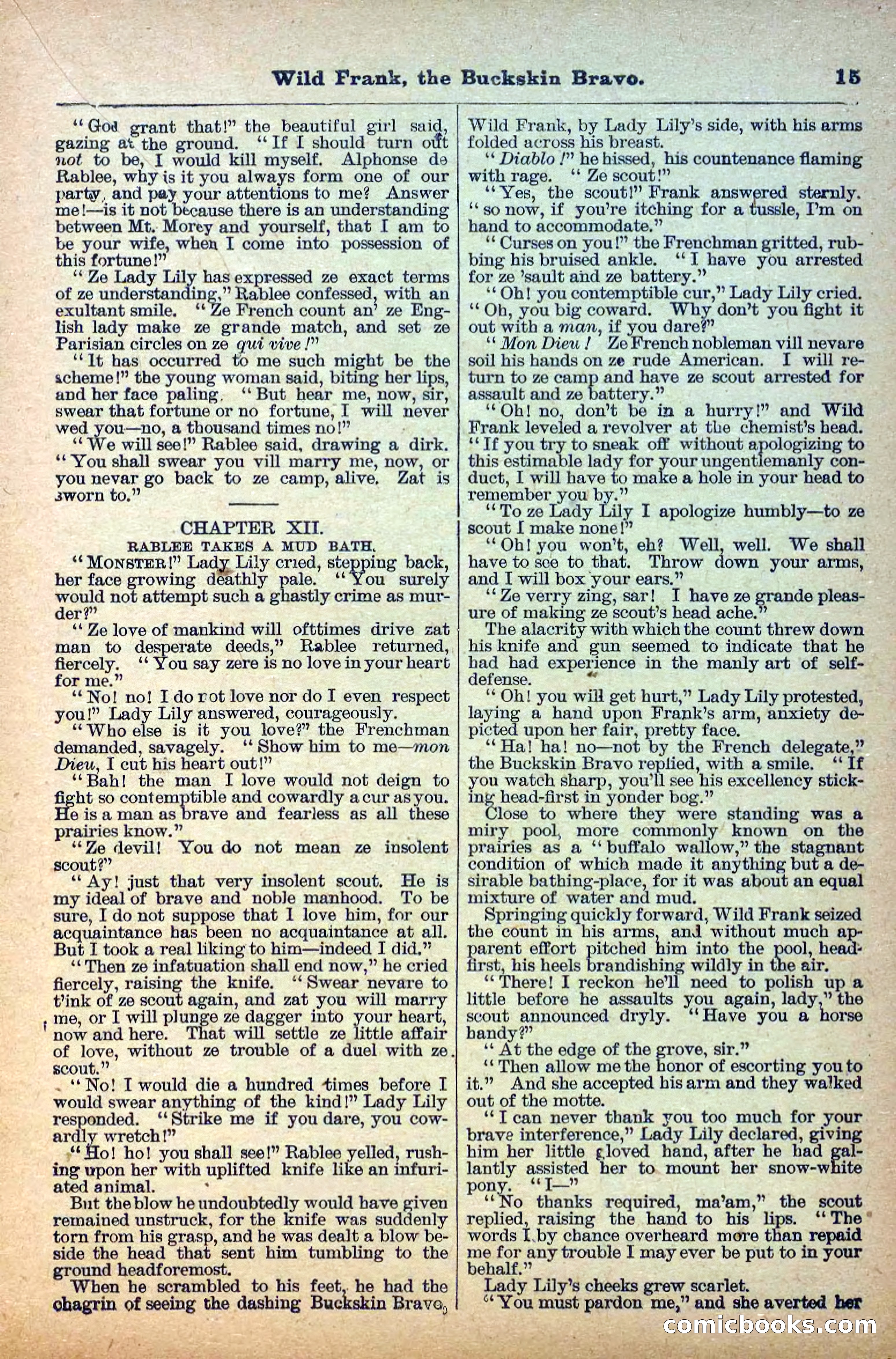 The Deadwood Dick Library, Vol. III, No. 38 — page 17 of 42