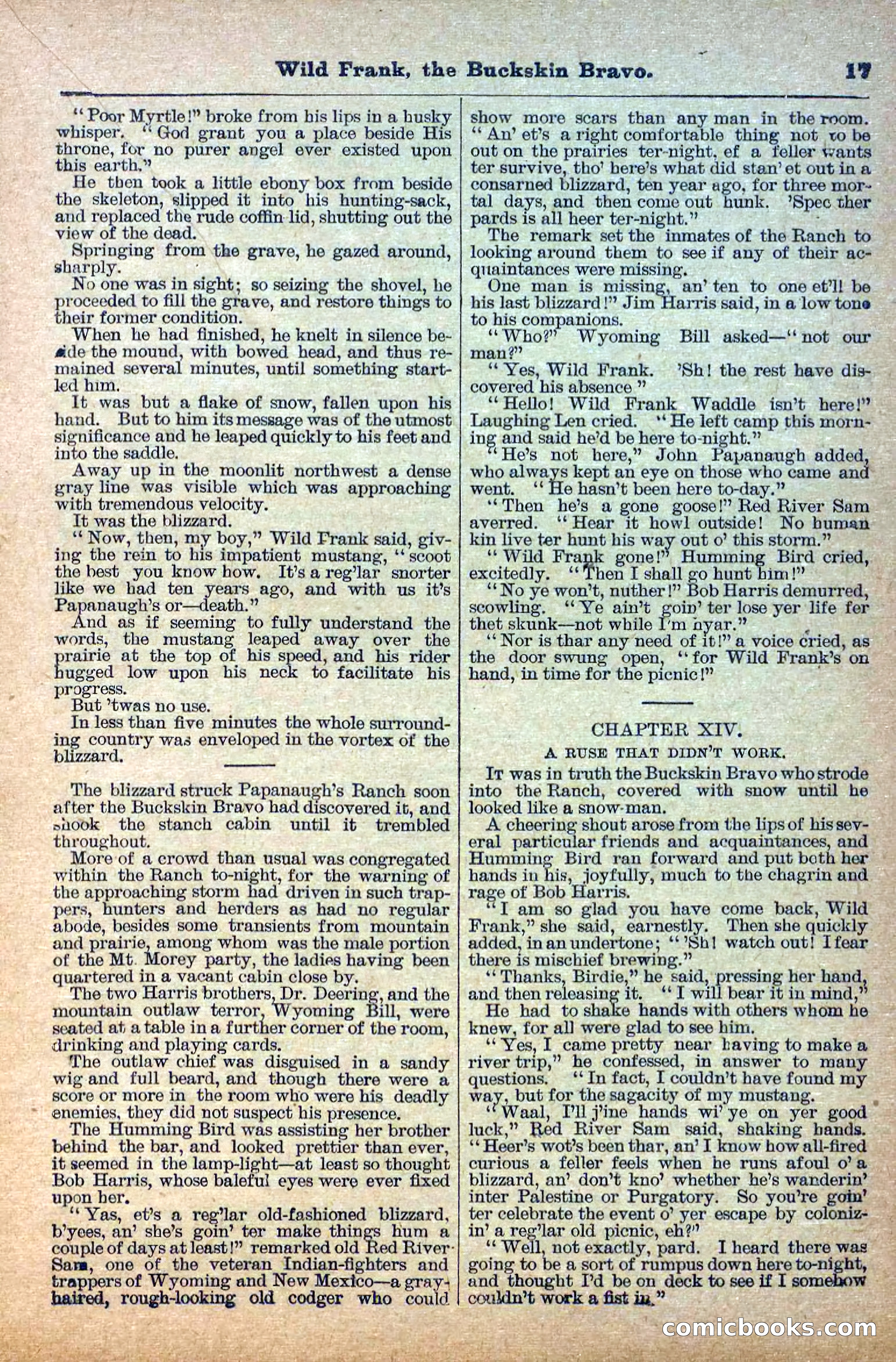 The Deadwood Dick Library, Vol. III, No. 38 — page 19 of 42