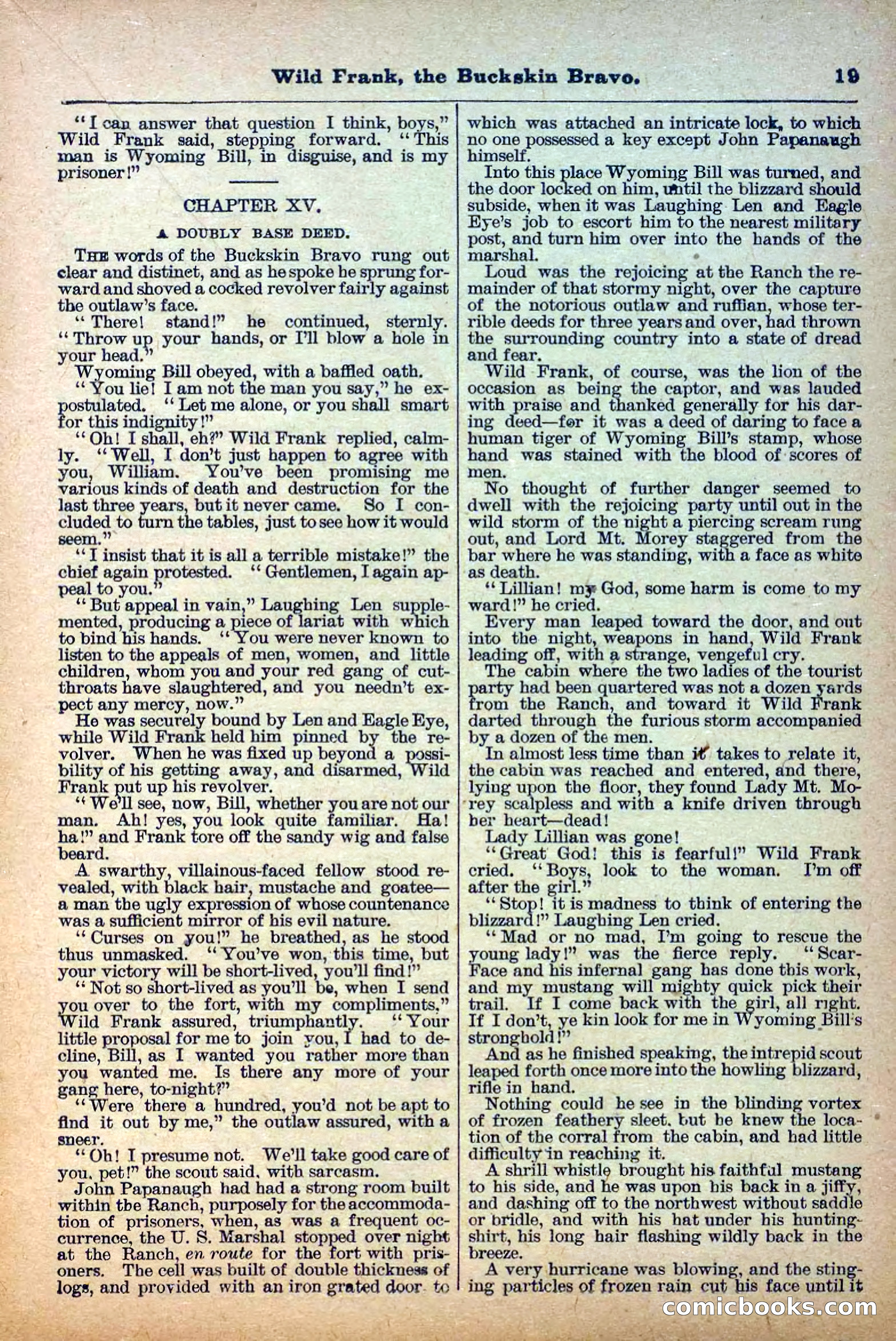 The Deadwood Dick Library, Vol. III, No. 38 — page 21 of 42