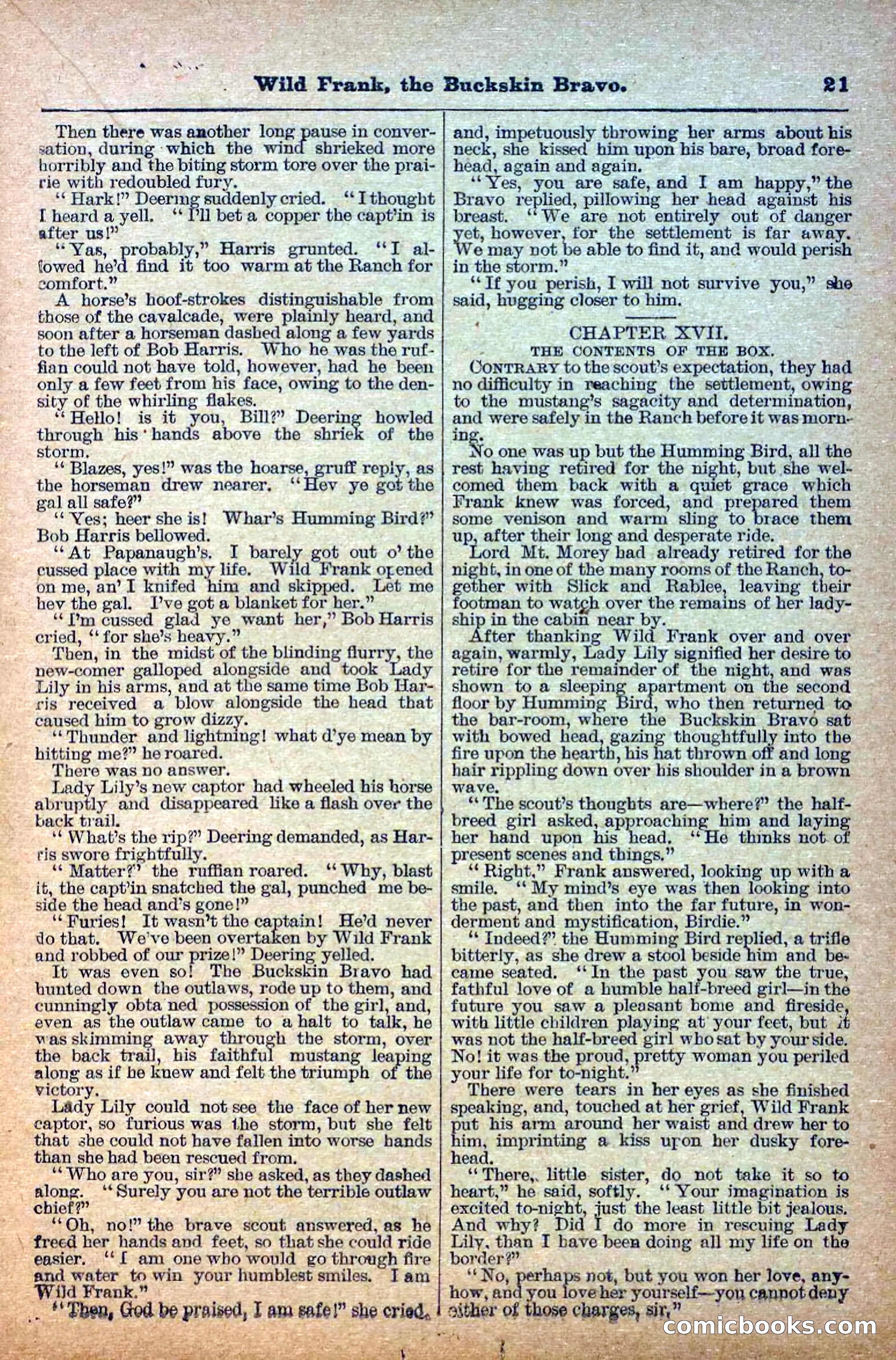 The Deadwood Dick Library, Vol. III, No. 38 — page 23 of 42