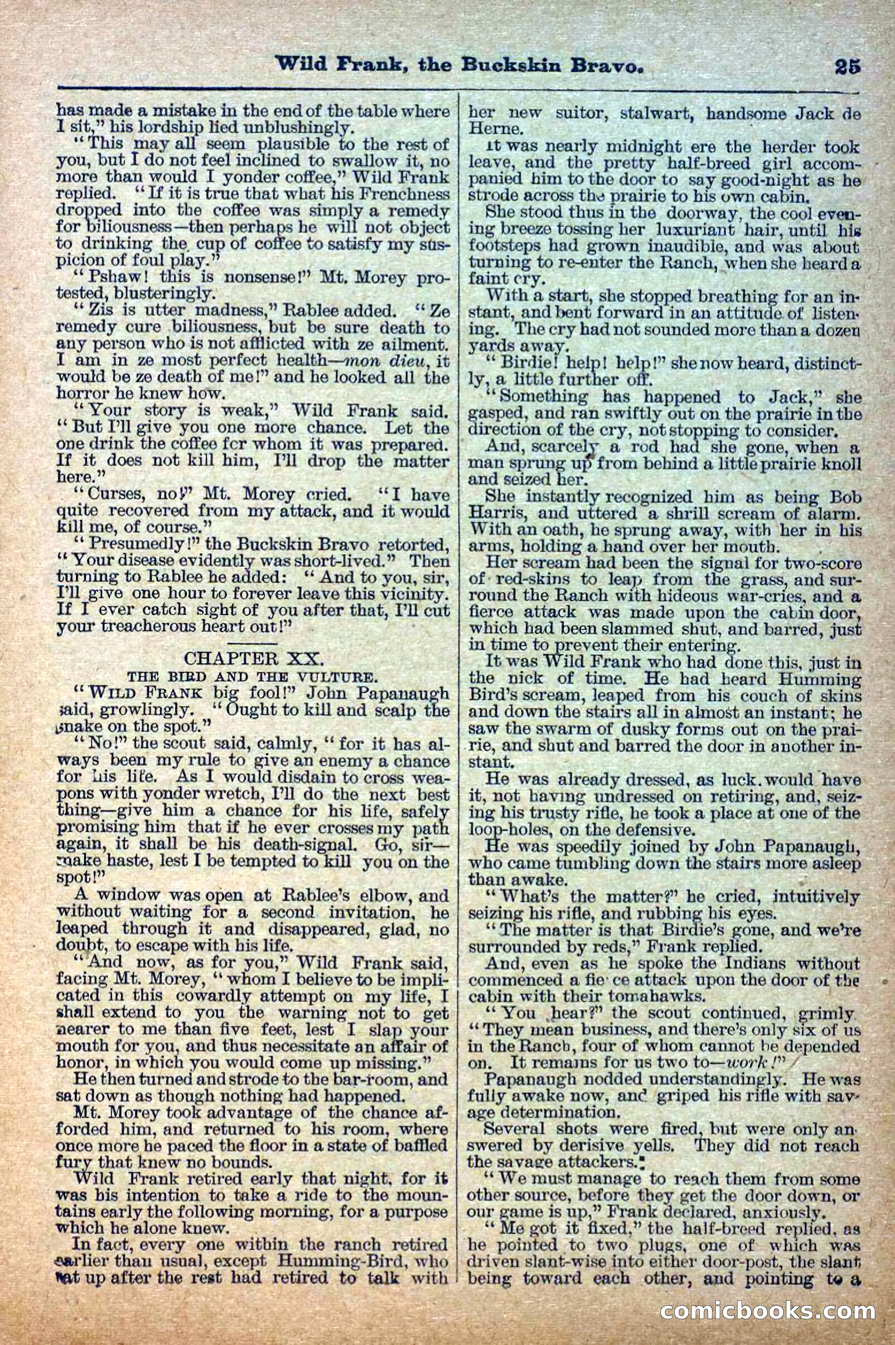The Deadwood Dick Library, Vol. III, No. 38 — page 27 of 42