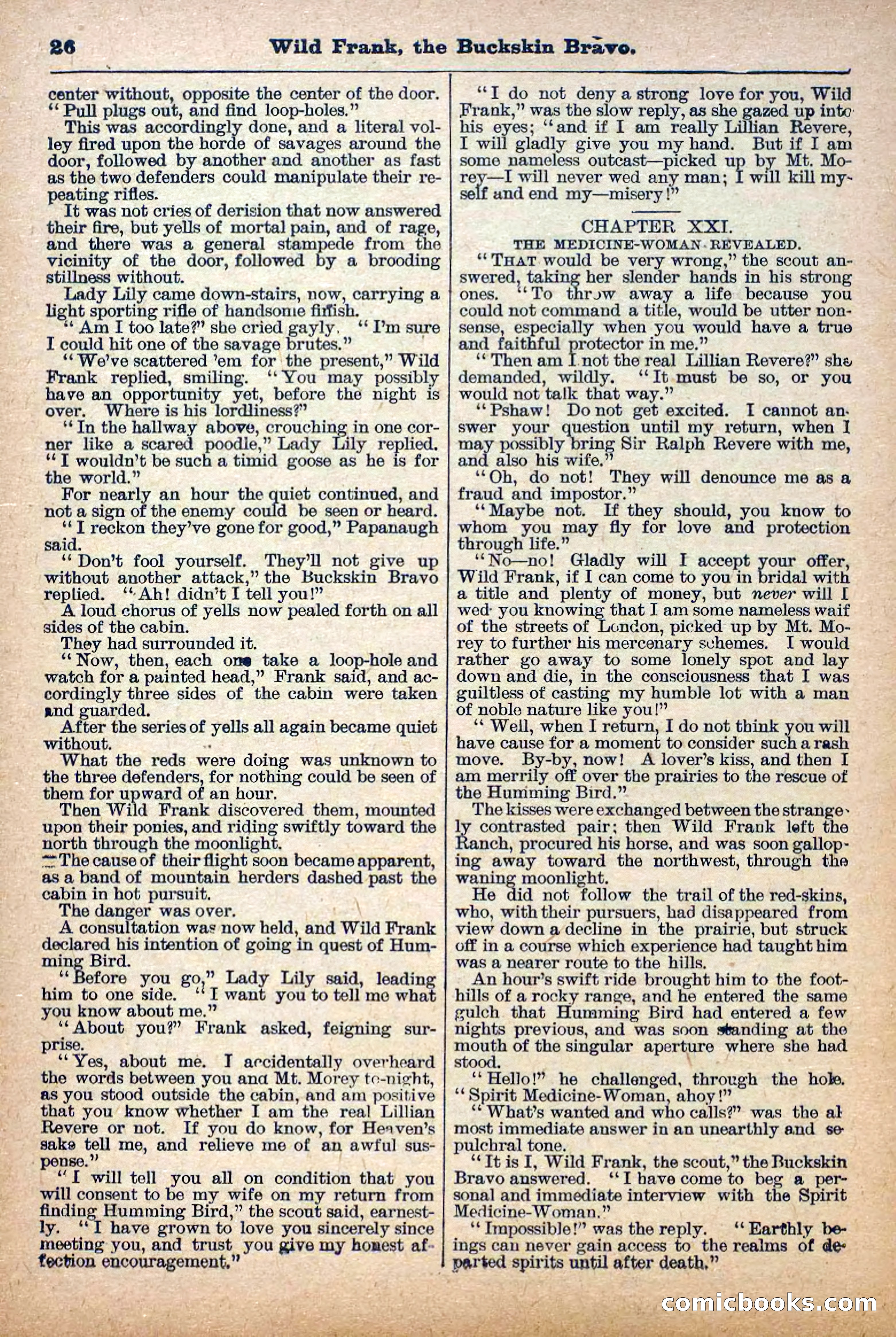 The Deadwood Dick Library, Vol. III, No. 38 — page 28 of 42