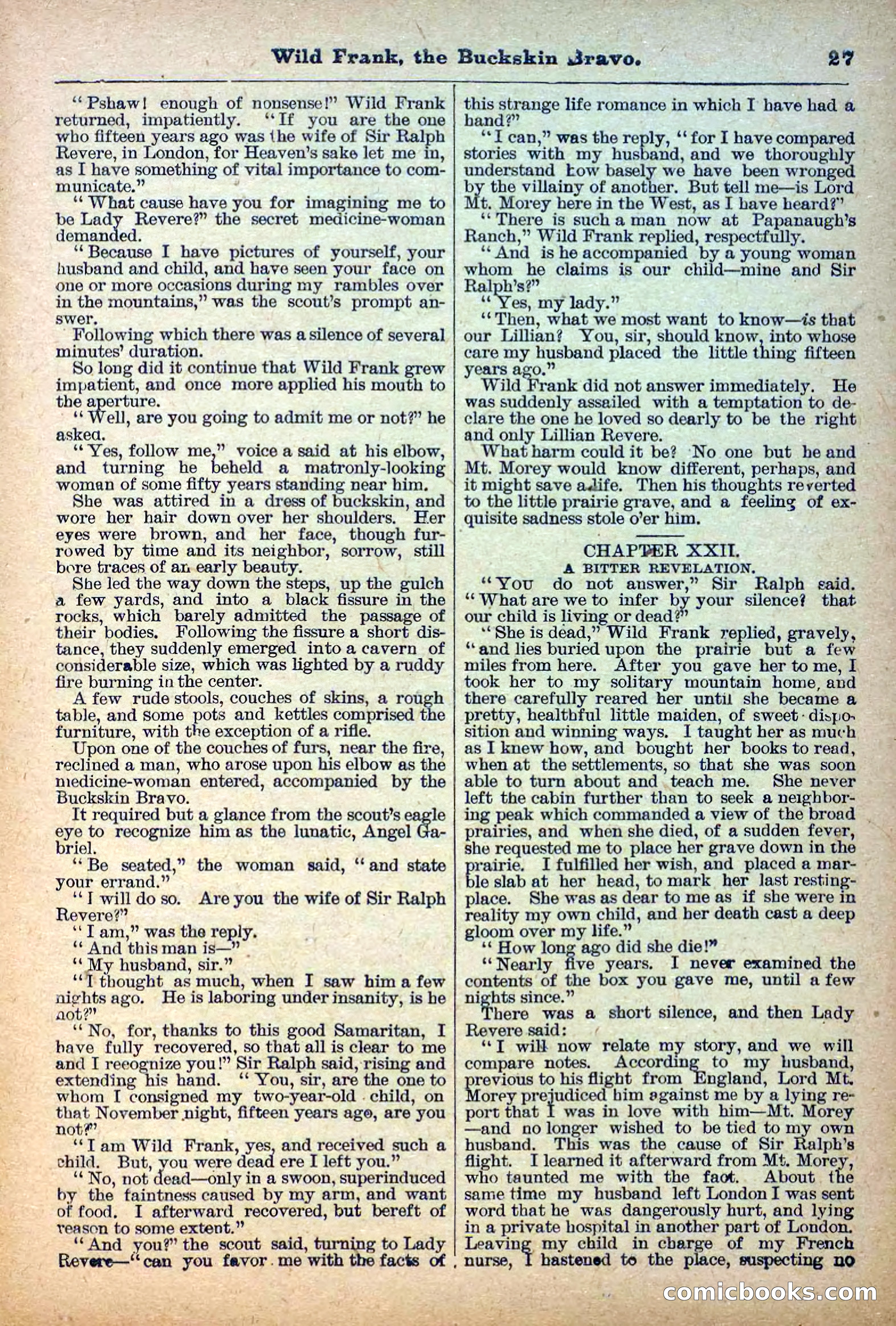 The Deadwood Dick Library, Vol. III, No. 38 — page 29 of 42